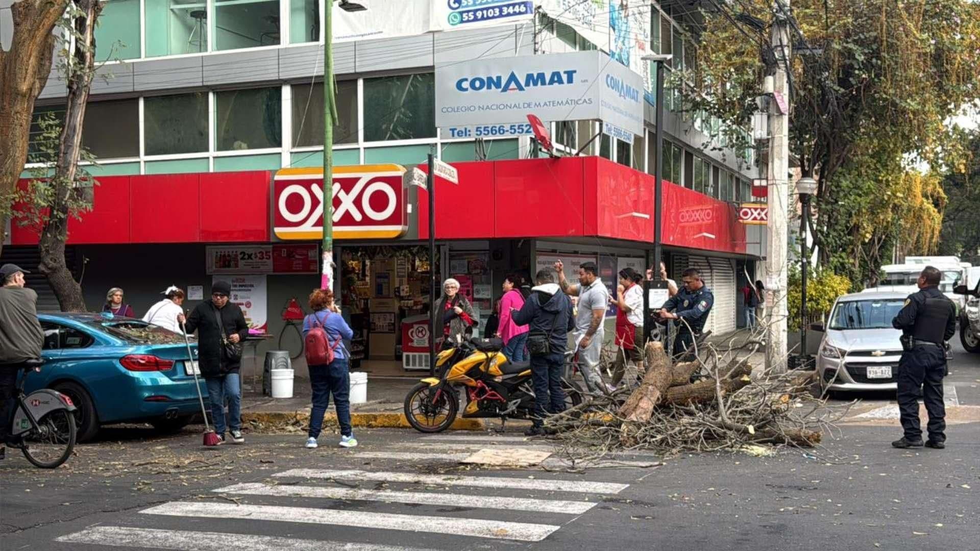Caída de Ramas Deja 2 Heridos en la Colonia San Rafael, CDMX; Ya Habían Denunciado el Árbol