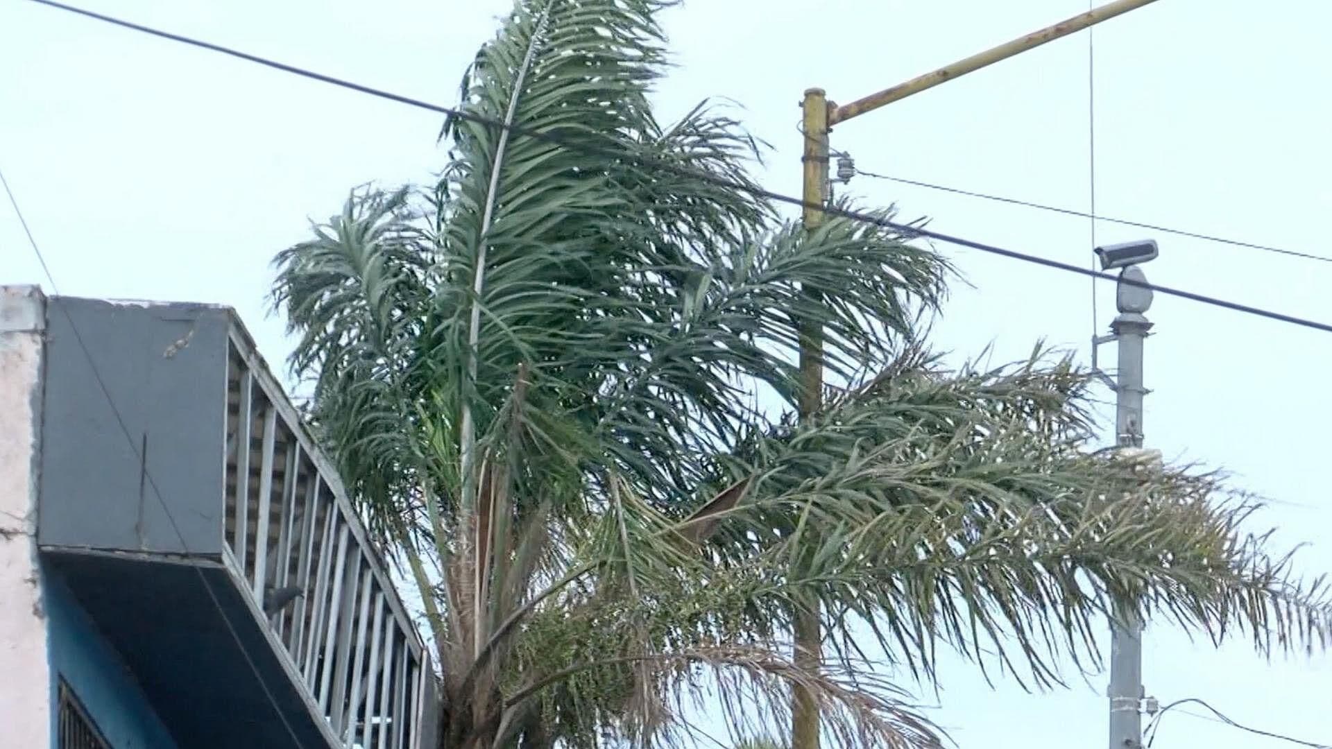 Vientos de Santa Ana Llegan a Tijuana ¿Qué Afectaciones Han Dejado?