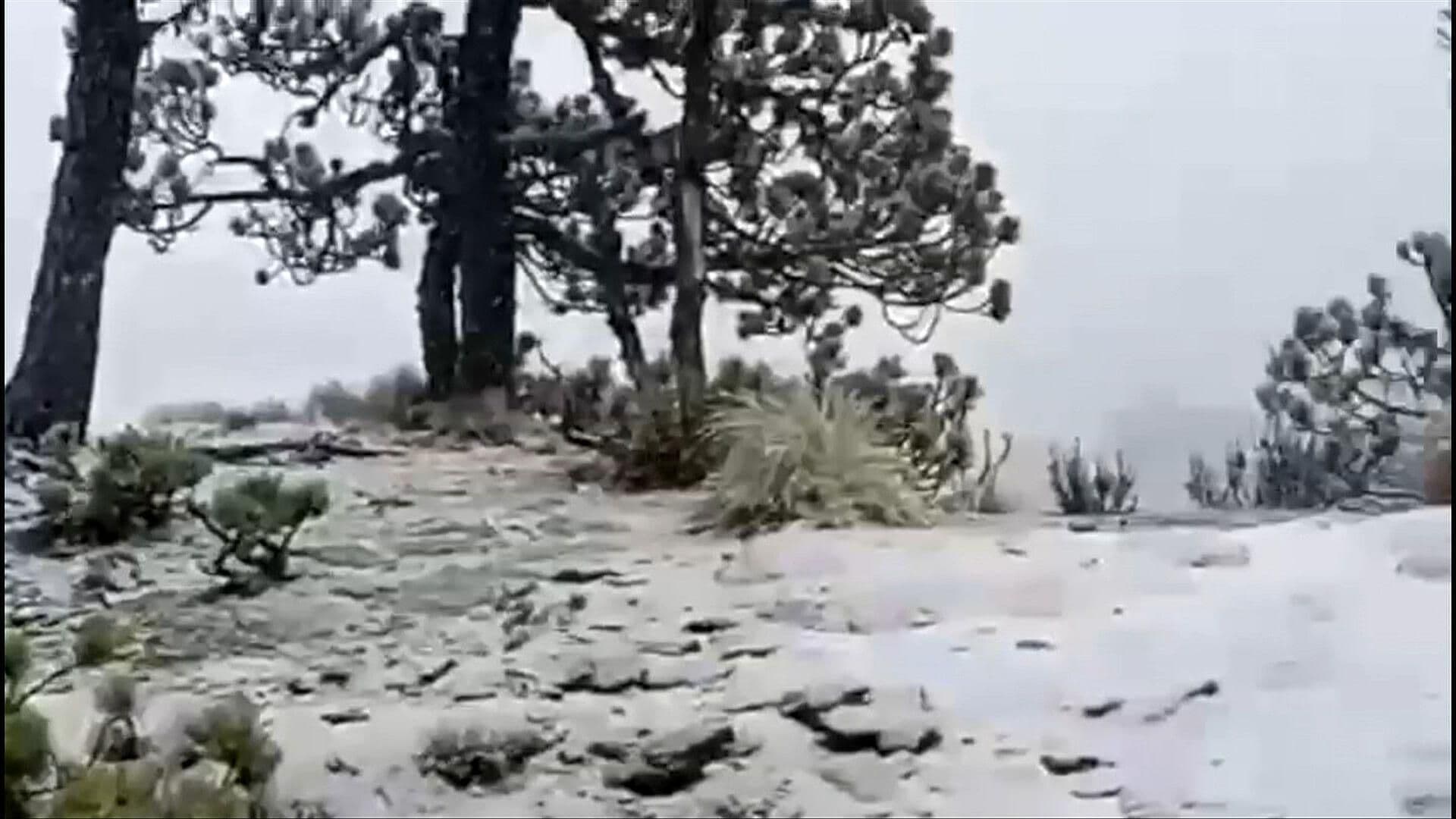 Frente Frío 25 Provoca Segunda Nevada en Cofre de Perote y Alertas de Seguridad