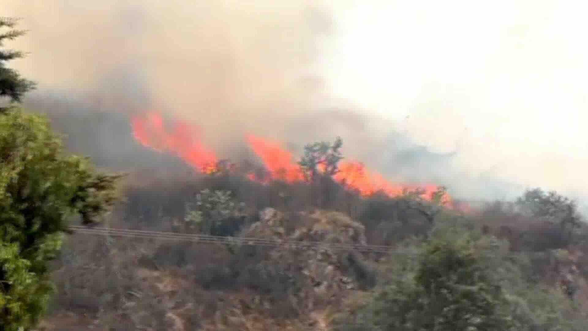Incendio Consume Pastizal en Zona Esmeralda de Atizapán, Edomex; Se Forma Gran Columna de Humo
