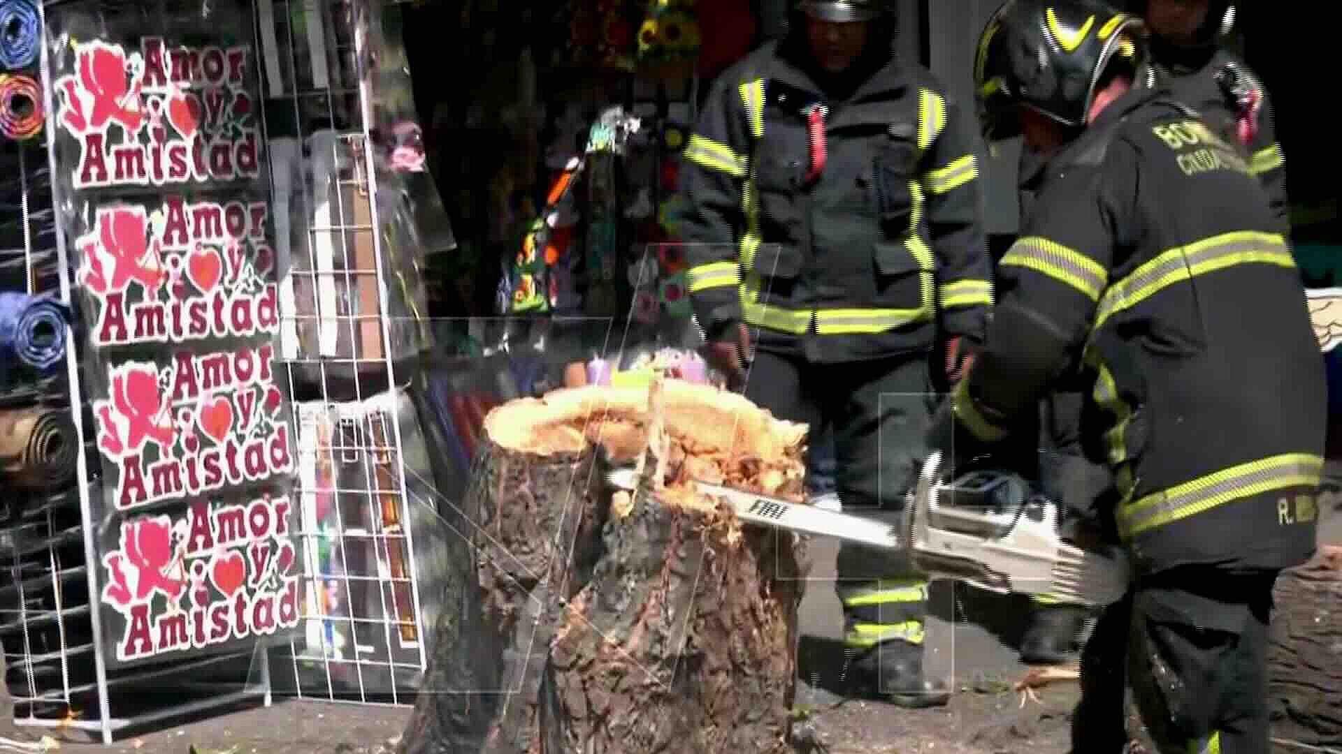 Bomberos Retiran Árbol Caído que Derribó Cables en San Pablo, CDMX