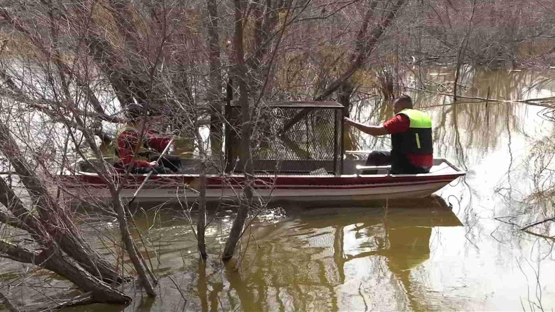 Alerta en Coahuila: Despliegan Búsqueda de Cocodrilo en Presa de Ramos Arizpe