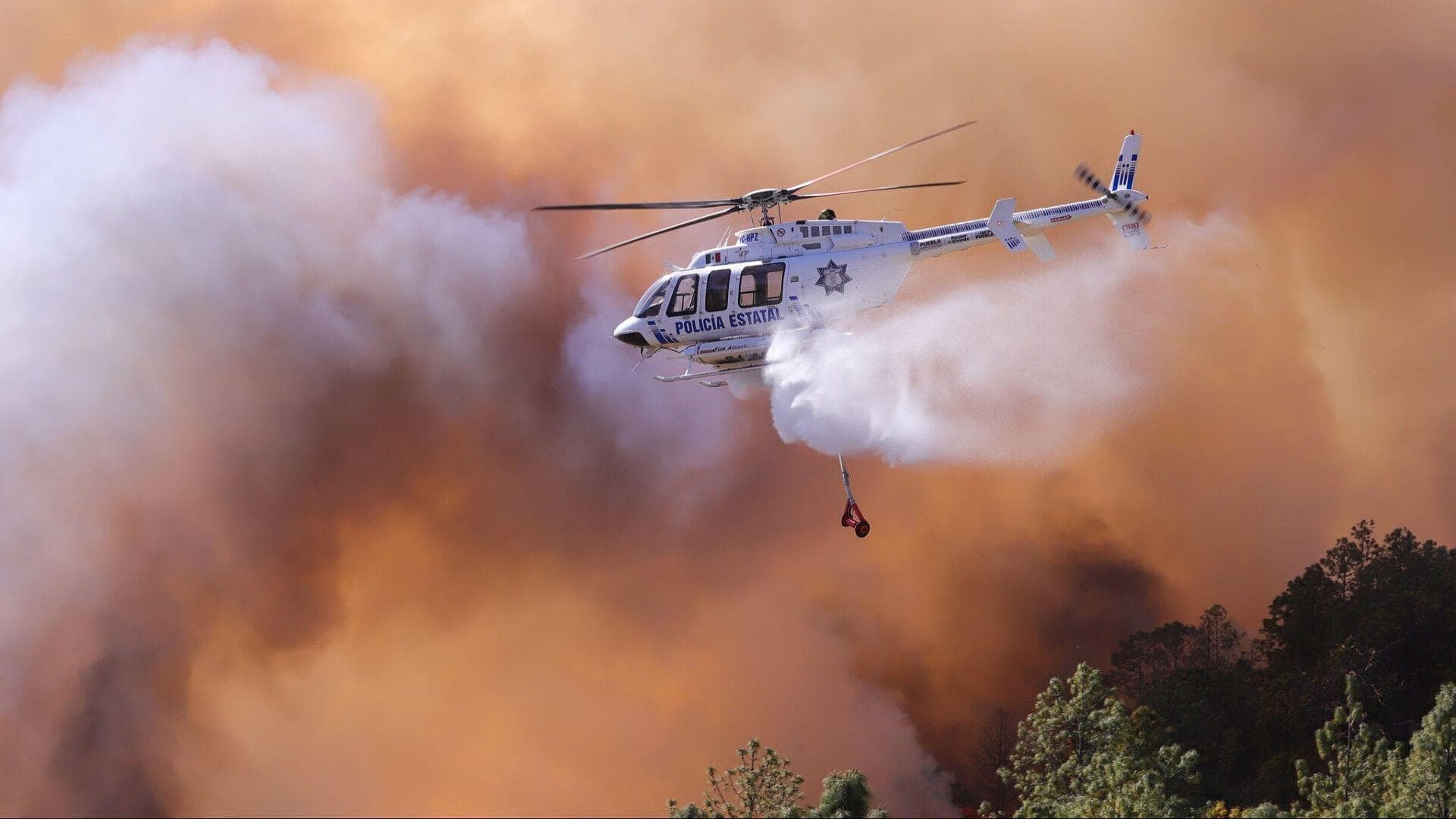 Incendio Forestal en Bosque de Vicente Guerrero, Puebla, Lleva 30% de Liquidación