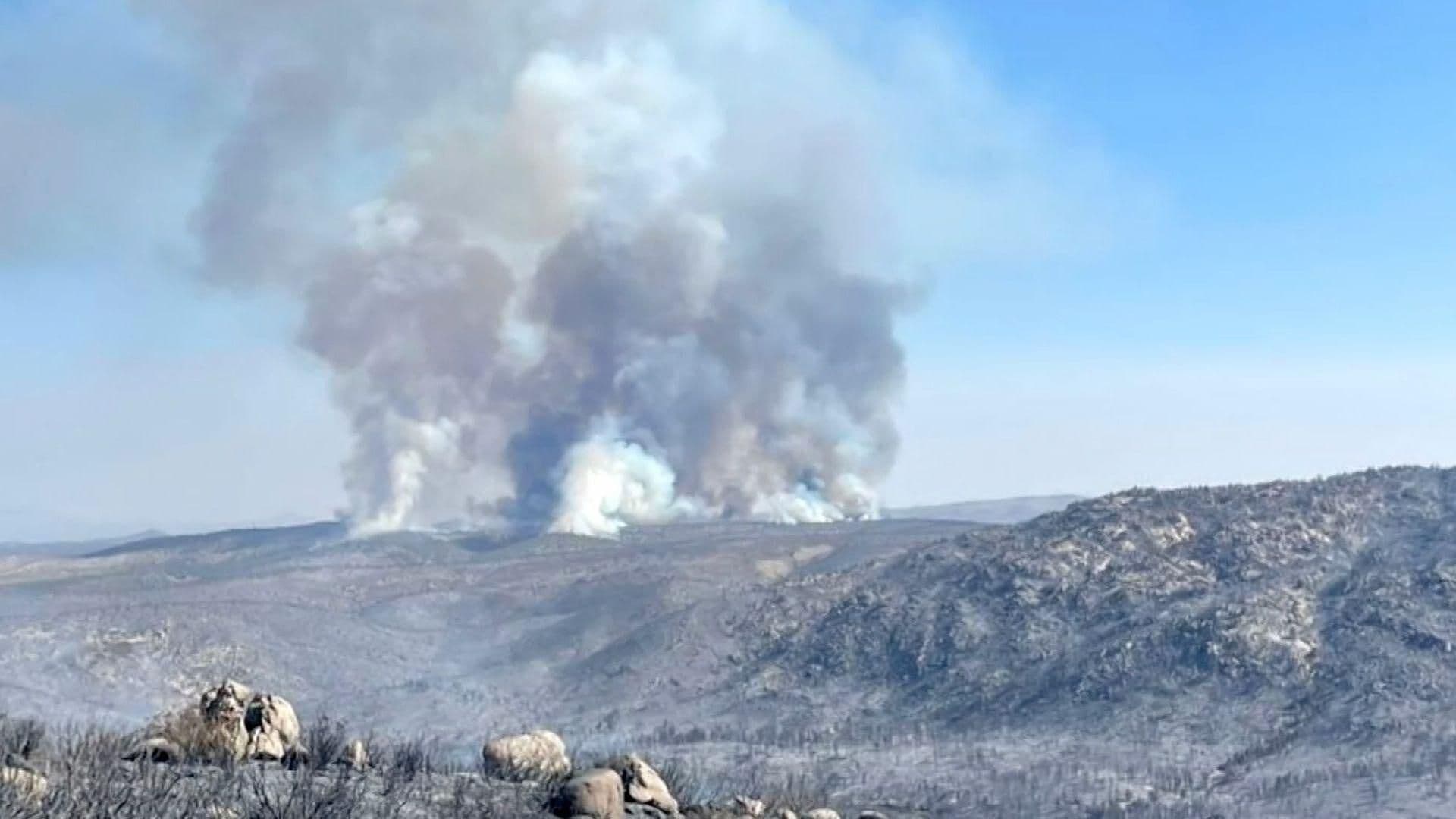 Bomberos Piden No Bajar la Guardia con Incendios en Ensenada Ante Vientos de Santa Ana