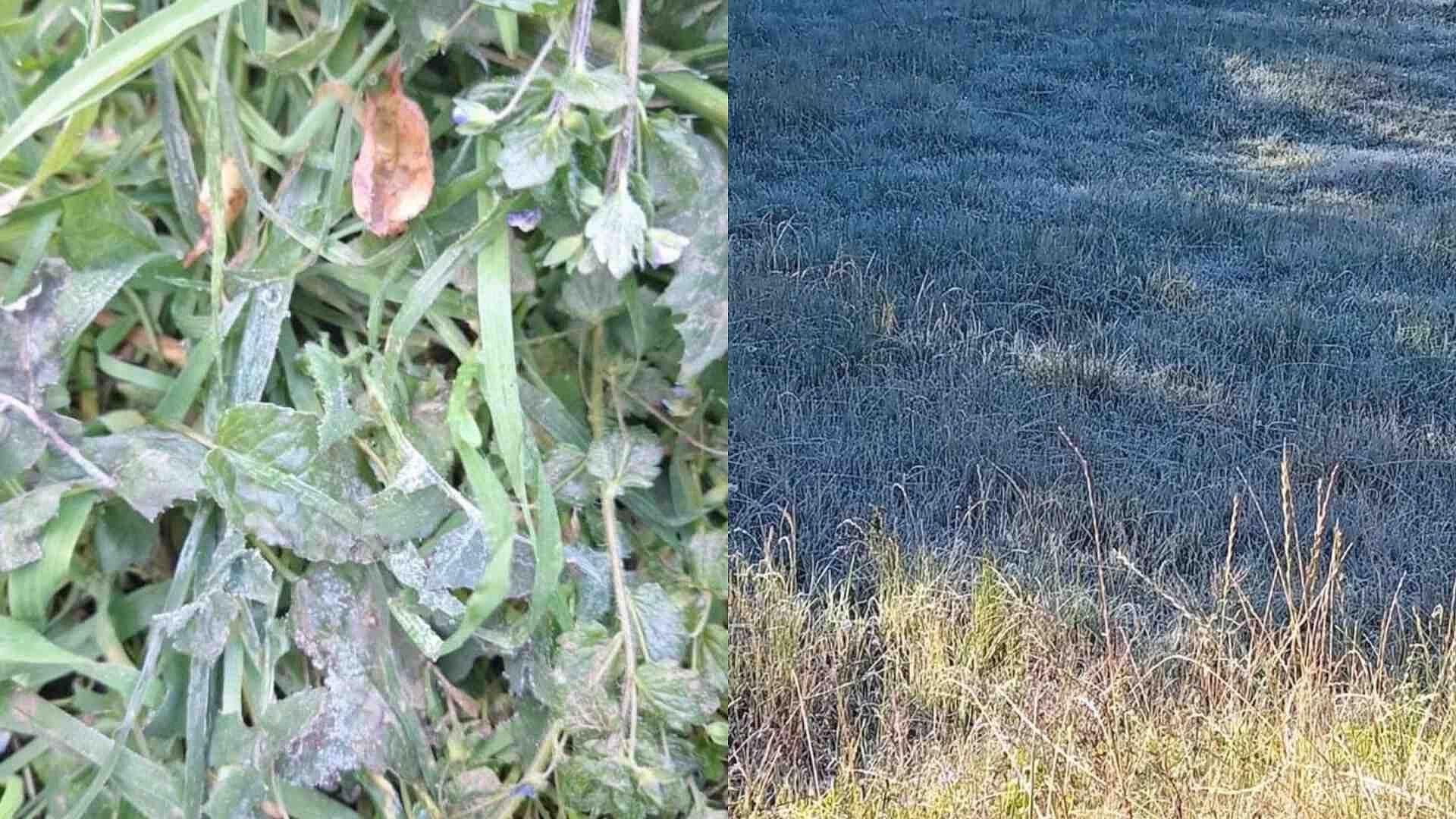 Perote Registra la Temperatura Más Baja de la Temporada en Veracruz