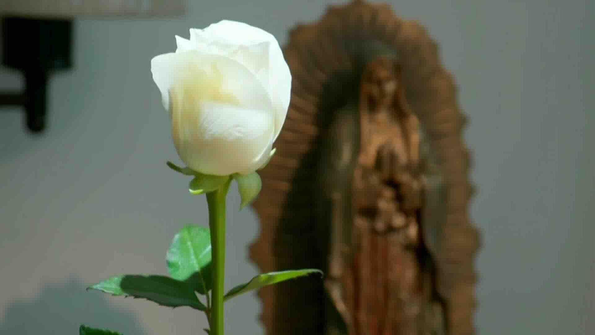 Espectáculos: La Rosa de Guadalupe, Mijares, Belinda y Carlos Rivera Dieron de Qué Hablar