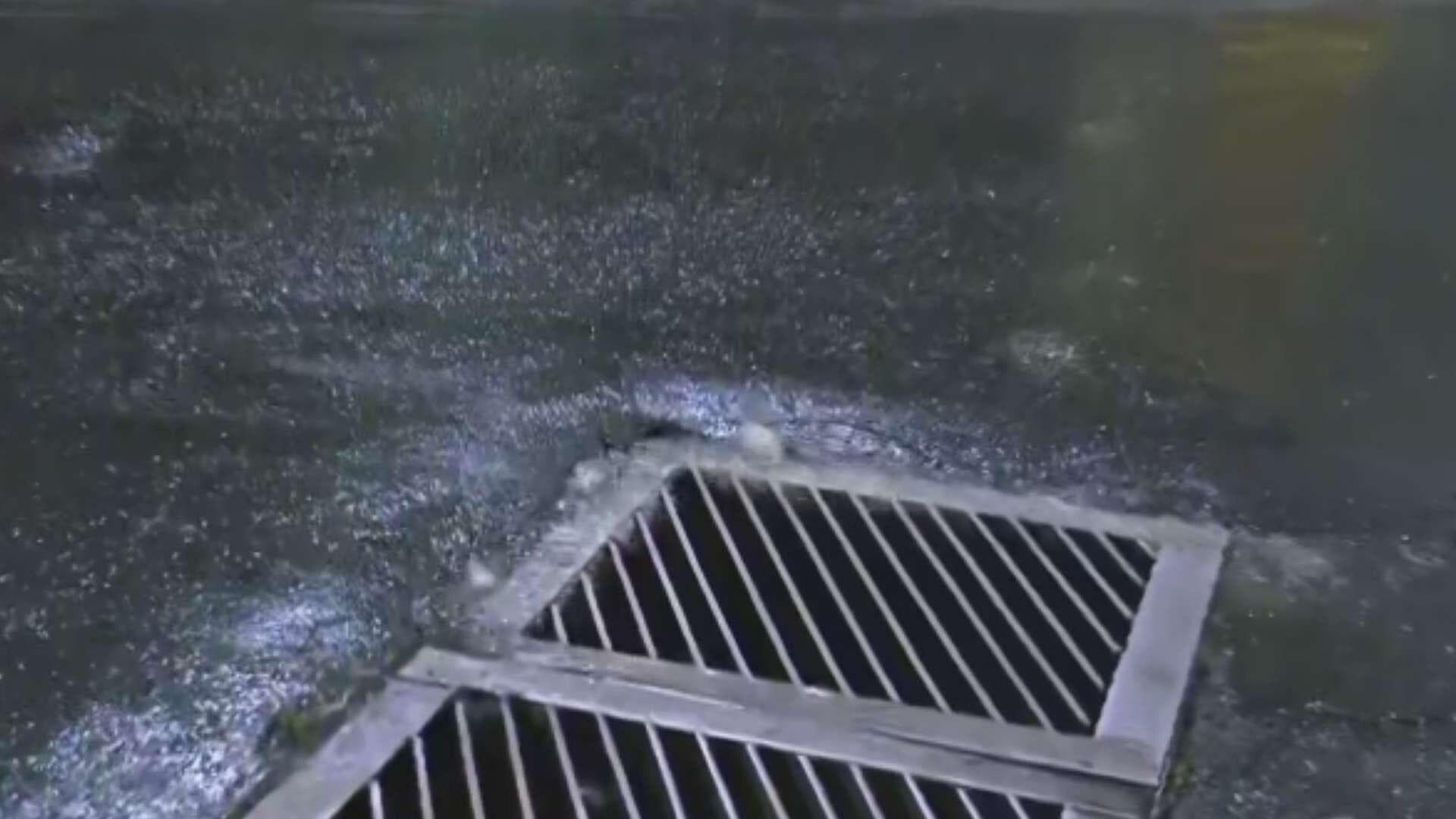 Fuga de Agua Desperdicia Miles de Litros del Líquido en Culhuacán, en Iztapalapa