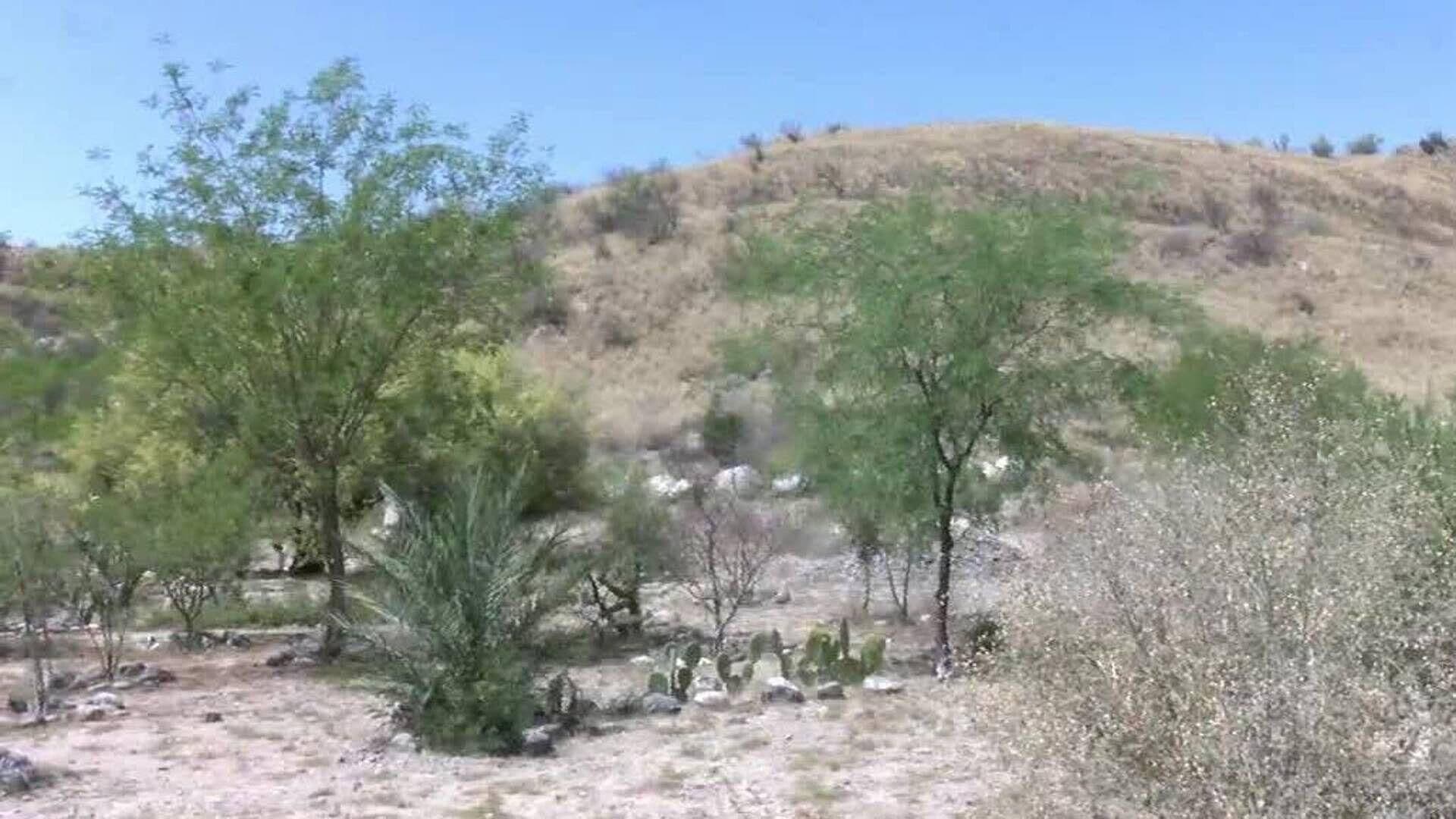 Buscan Plantar Sahuaros en Área Natural Protegida Cerro Johnson en Hermosillo