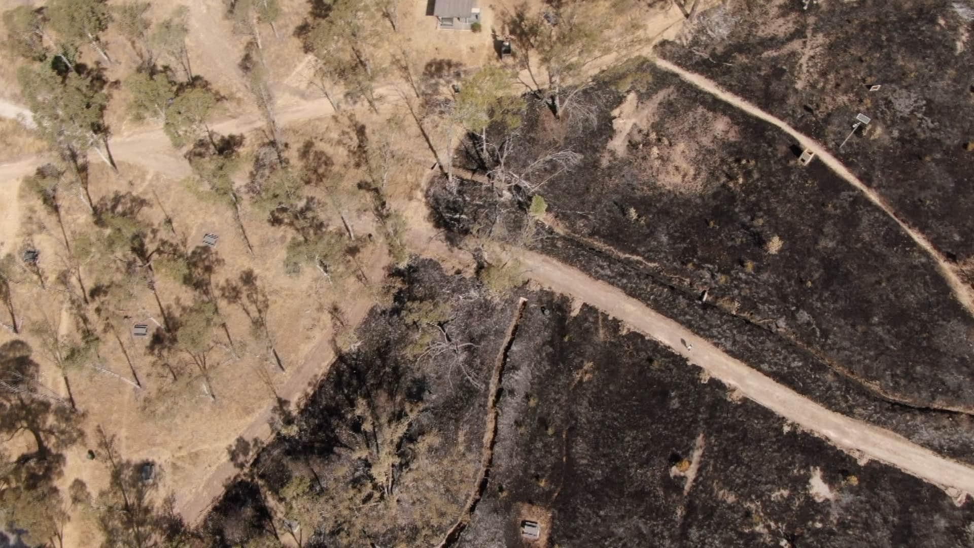 Parque de Amalucan en Riesgo de Secarse Debido a Incendios