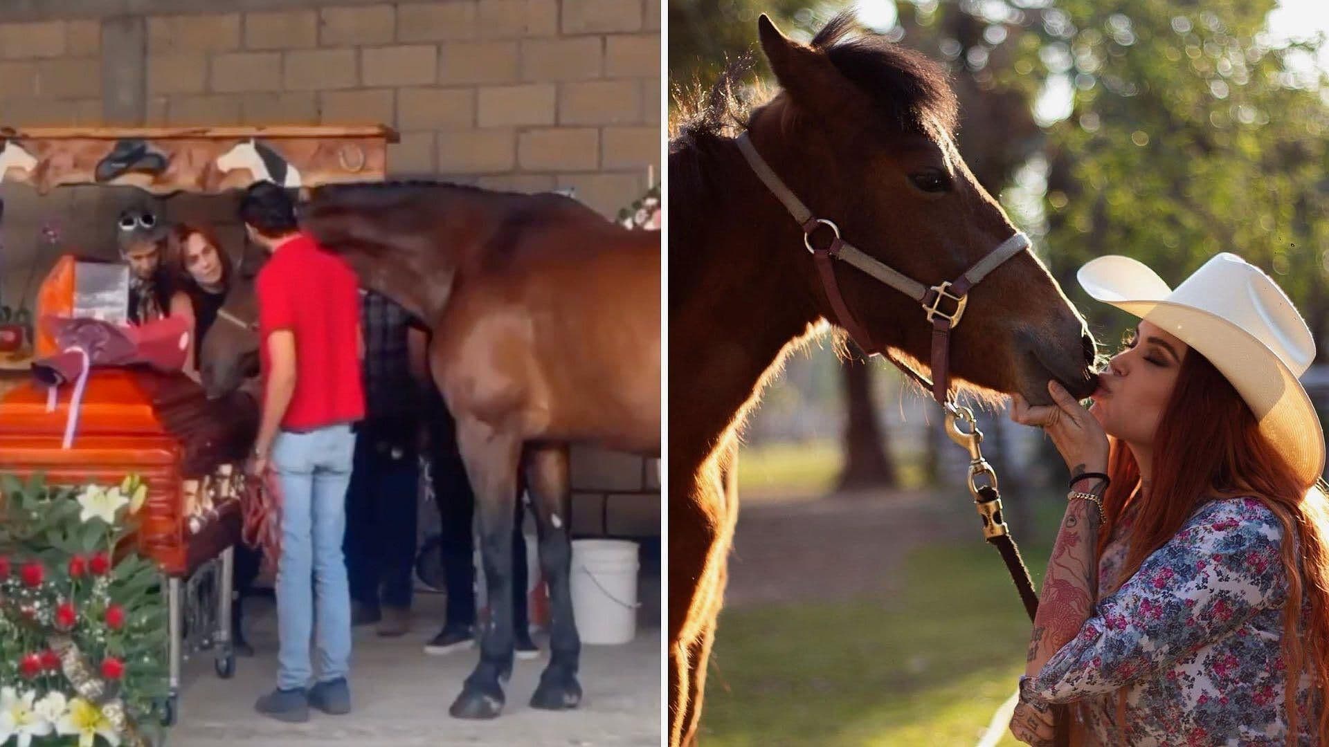 Así Despidieron a Elena Larrea los Caballos de Cuacolandia