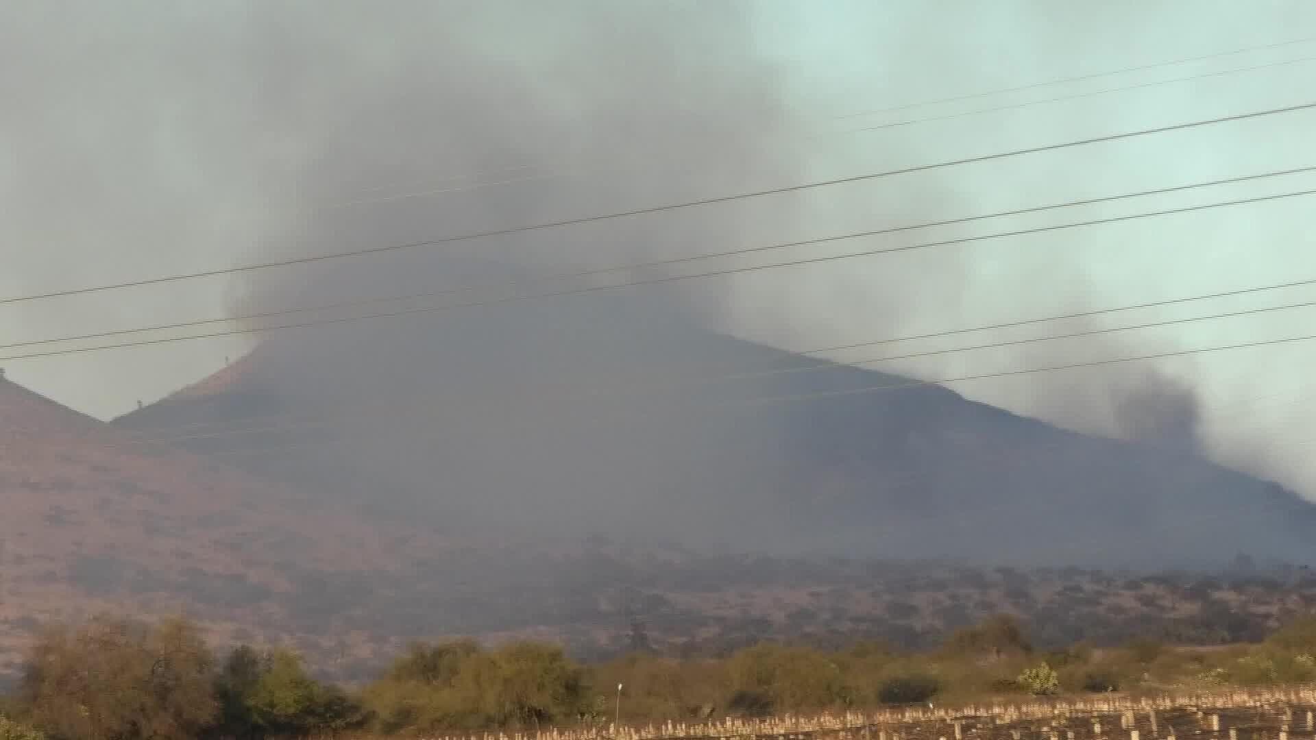 Incendio Consume Más de 150 Hectáreas del Bosque de Mezquite en Luis Moya, Zacatecas