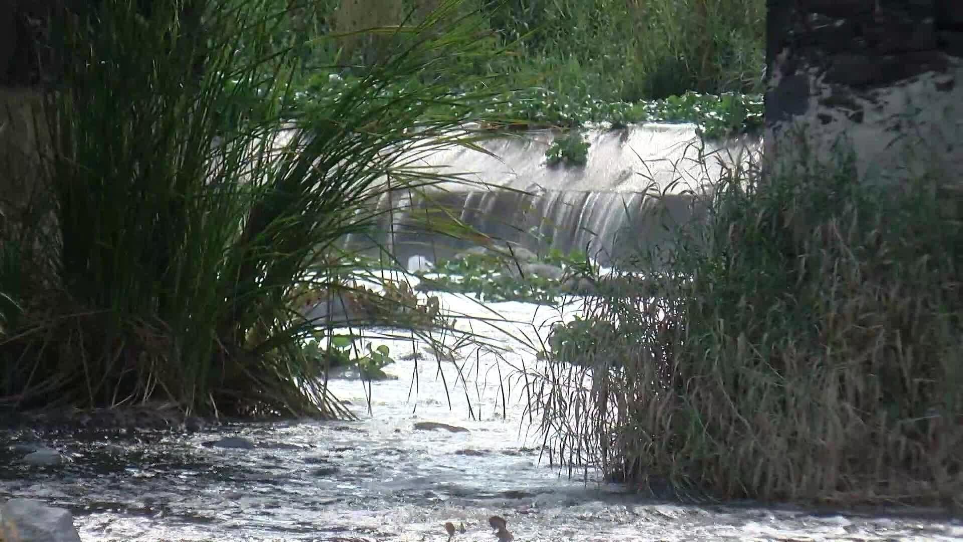 A 17 Años de la Macrorrecomendación, el Río Santiago Continúa Contaminado