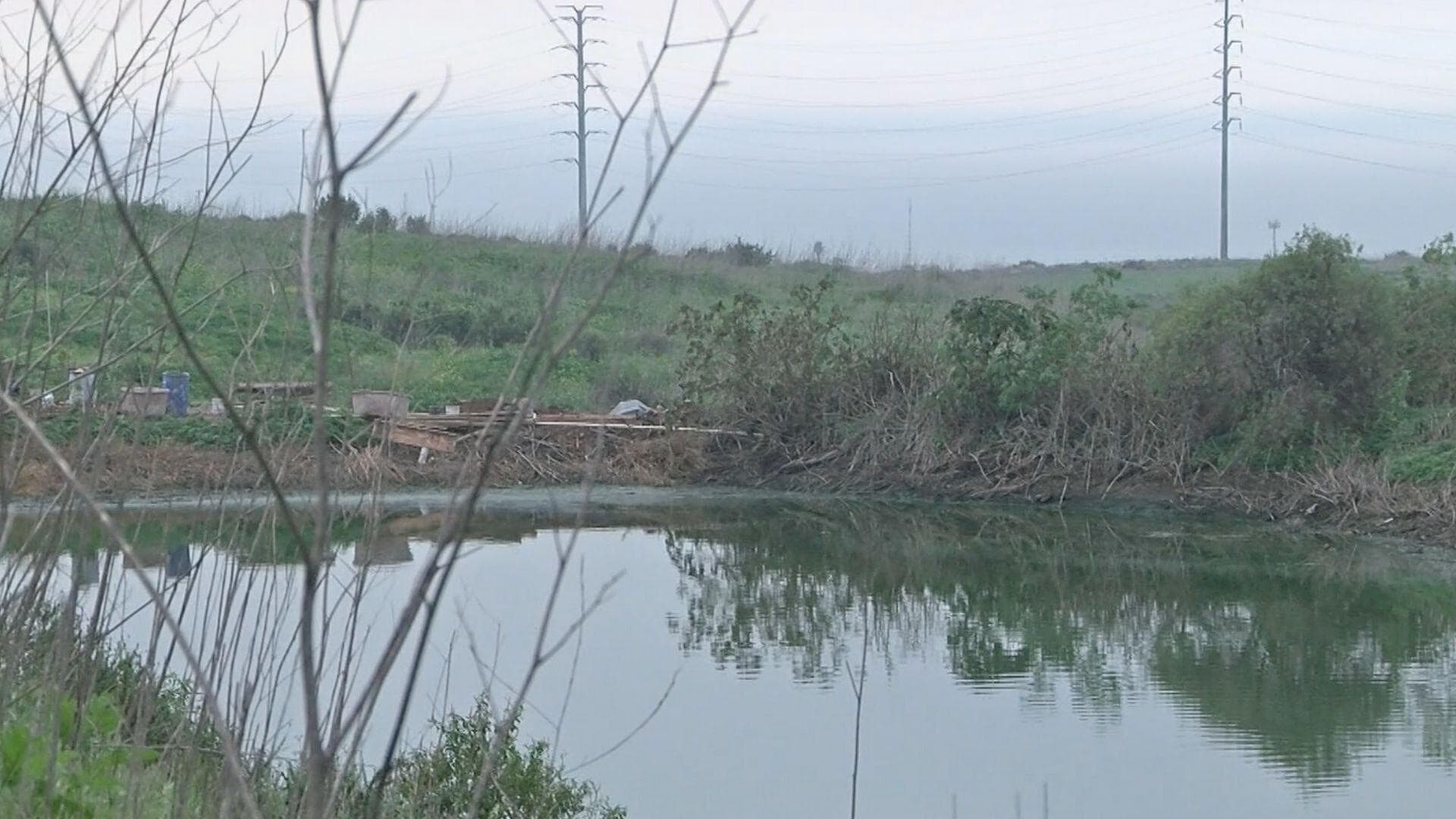 Denuncian Aguas Negras en Fraccionamiento Real del Mar; Exigen Solución
