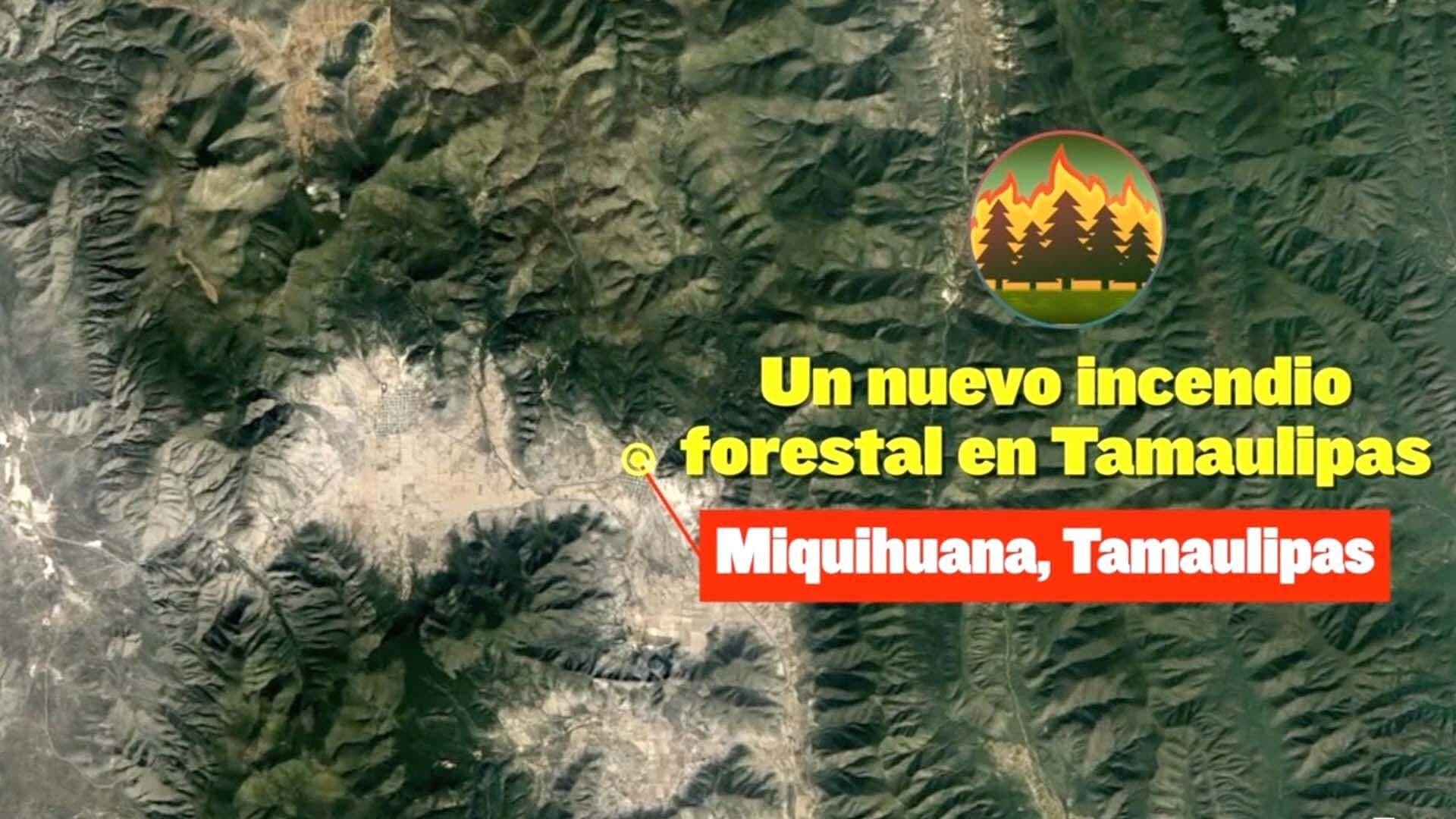 Incendio Forestal en Miquihuana, Tamaulipas; El Tercero de la Temporada