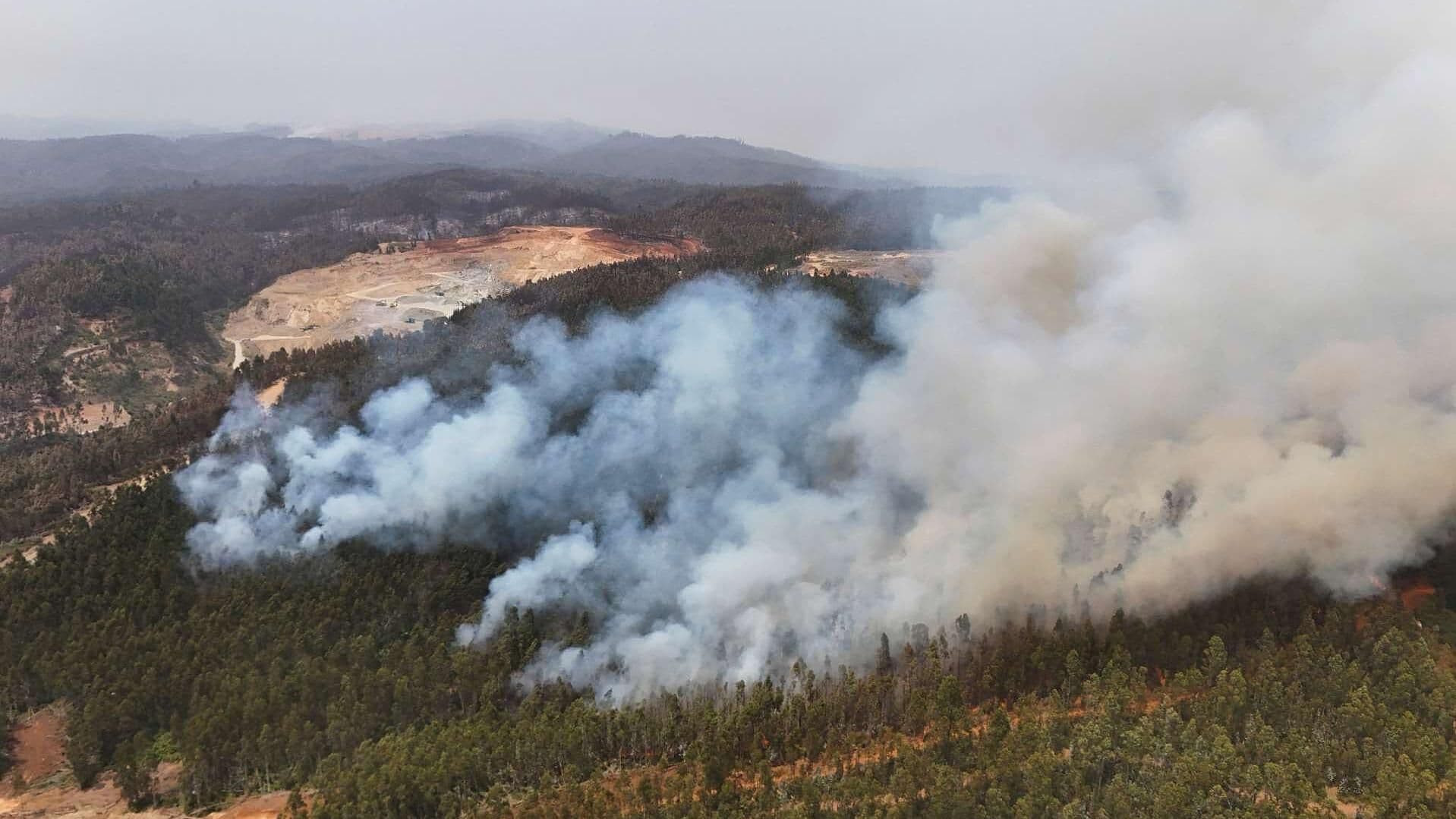Confirman 19 Muertos por Incendio Forestal que Devastó 35 Mil Hectáreas en Chile