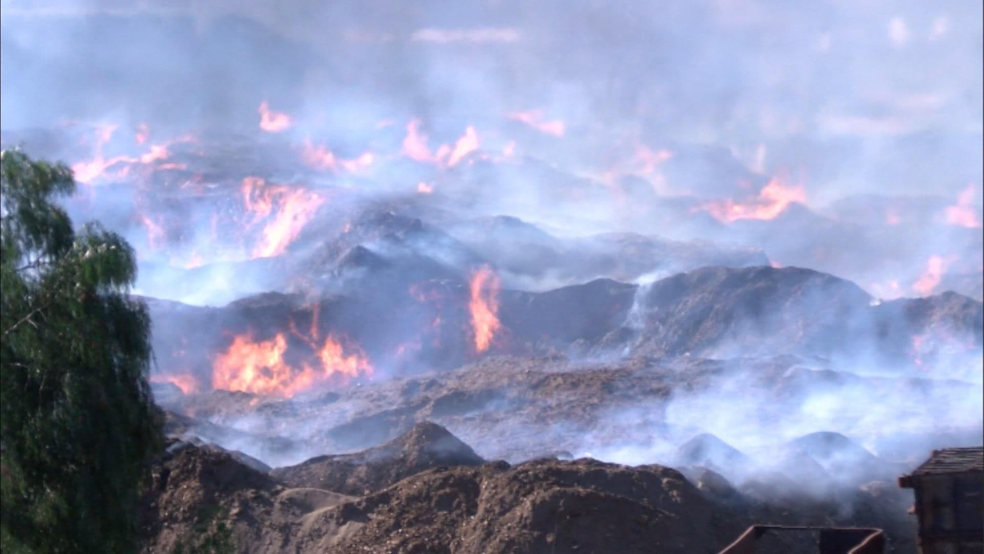 Humo por Incendio de Aserrín y Vientos de Santa Ana Provoca Alerta Ambiental en Tijuana