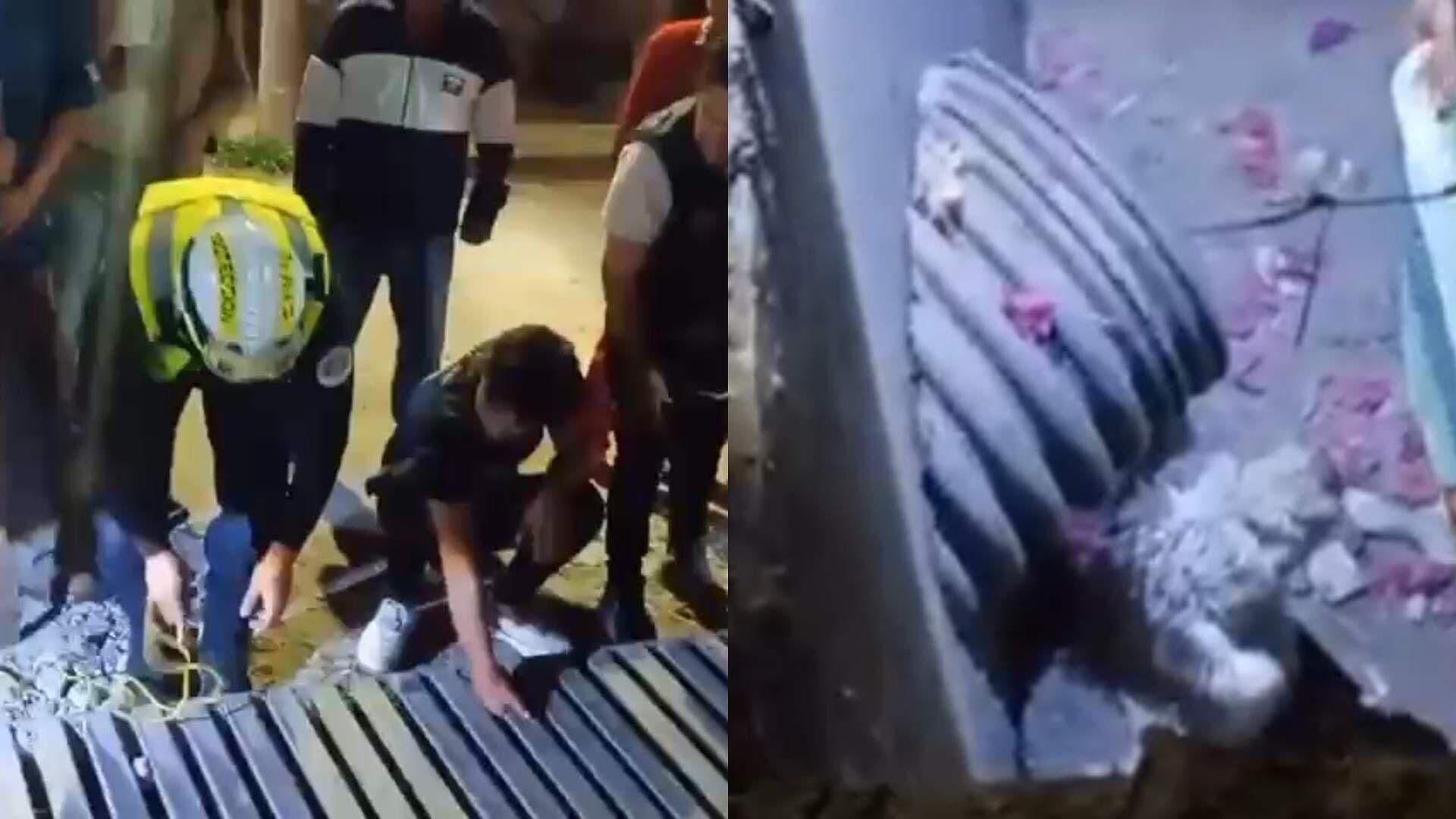 Perrito es Rescatado tras Quedar Atrapado en Alcantarilla en Río Blanco, Veracruz
