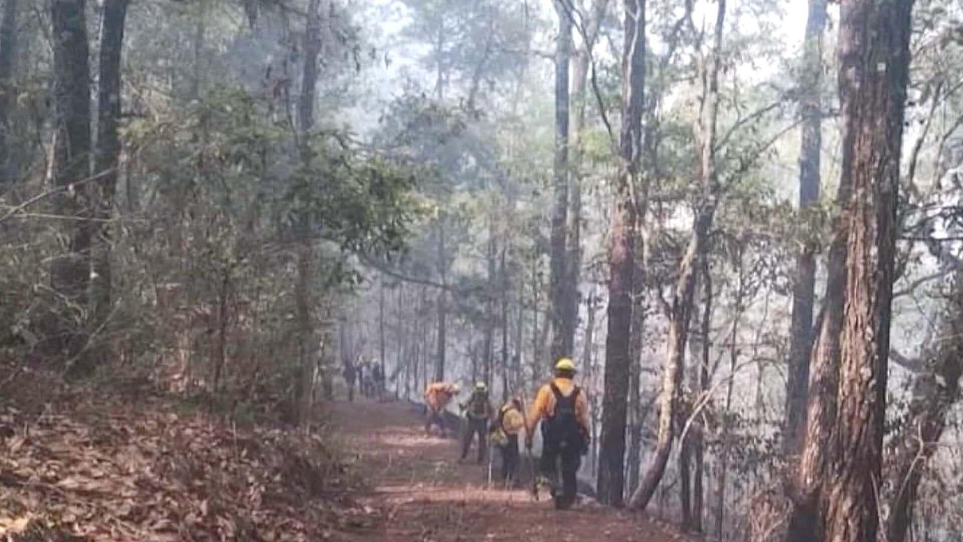 Continúa Activo Incendio Forestal en Miquihuana