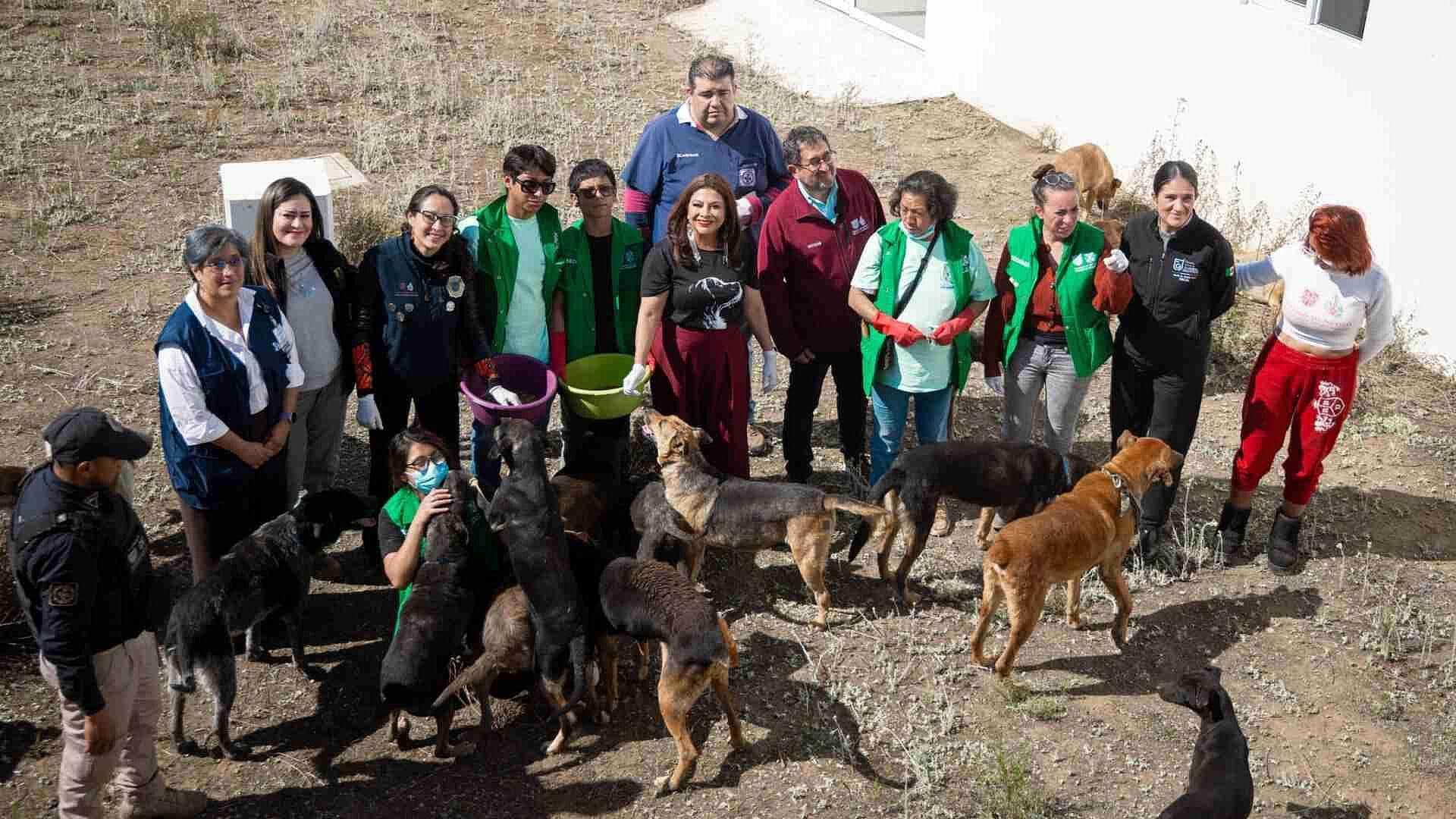 Animales Rescatados de Refugio Franciscano Tienen Un Nuevo Espacio en las Faldas del Ajusco