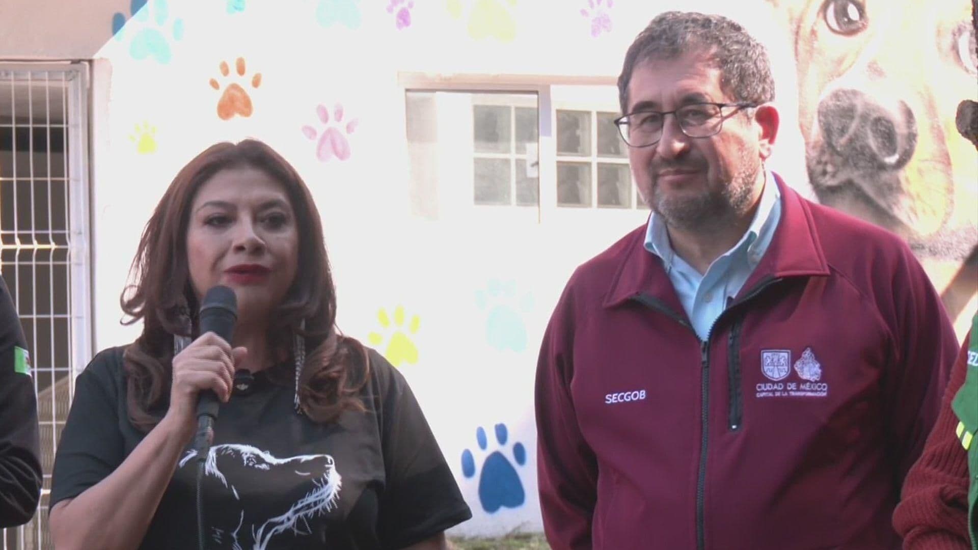 VIDEO: Clara Brugada Visita Albergue del Ajusco con Perros de Refugio Franciscano