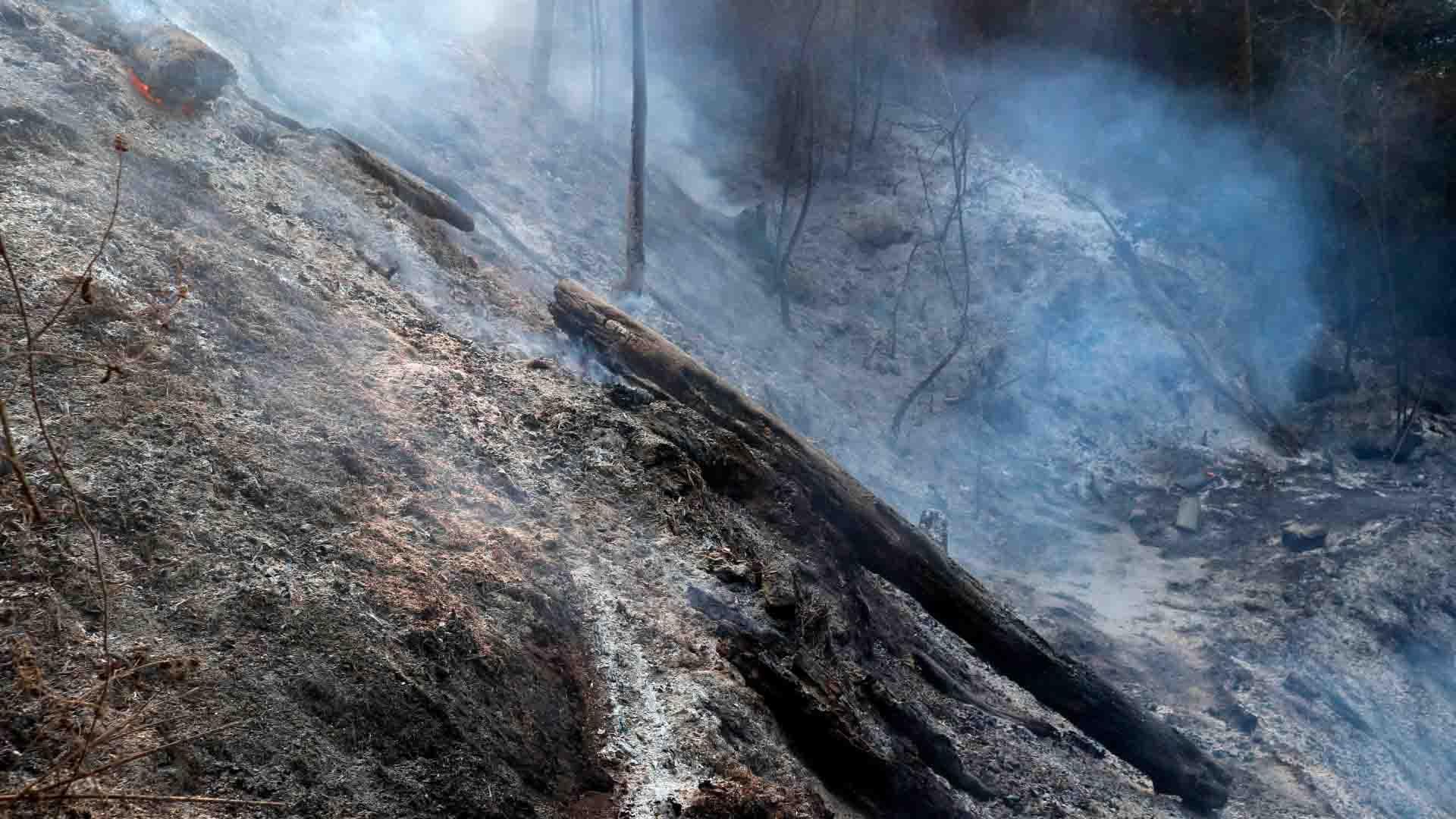 Se Registra Incendio Forestal en Rancho Viejo, Edomex