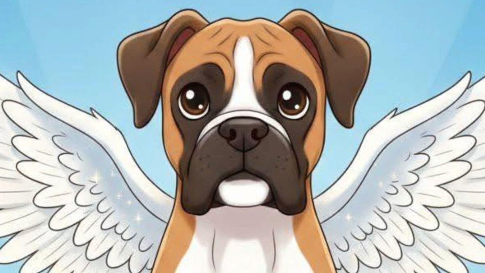 Perro Murió al Amarrarle Pirotecnia en el Hocico en San Miguel de Allende, Guanajuato