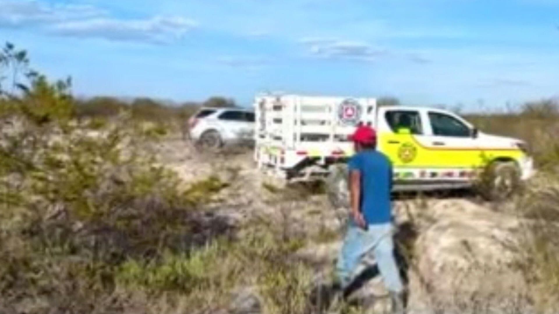 Encuentran Oso Sin Vida Dentro de Fosa de Descarga en Galeana, Nuevo León