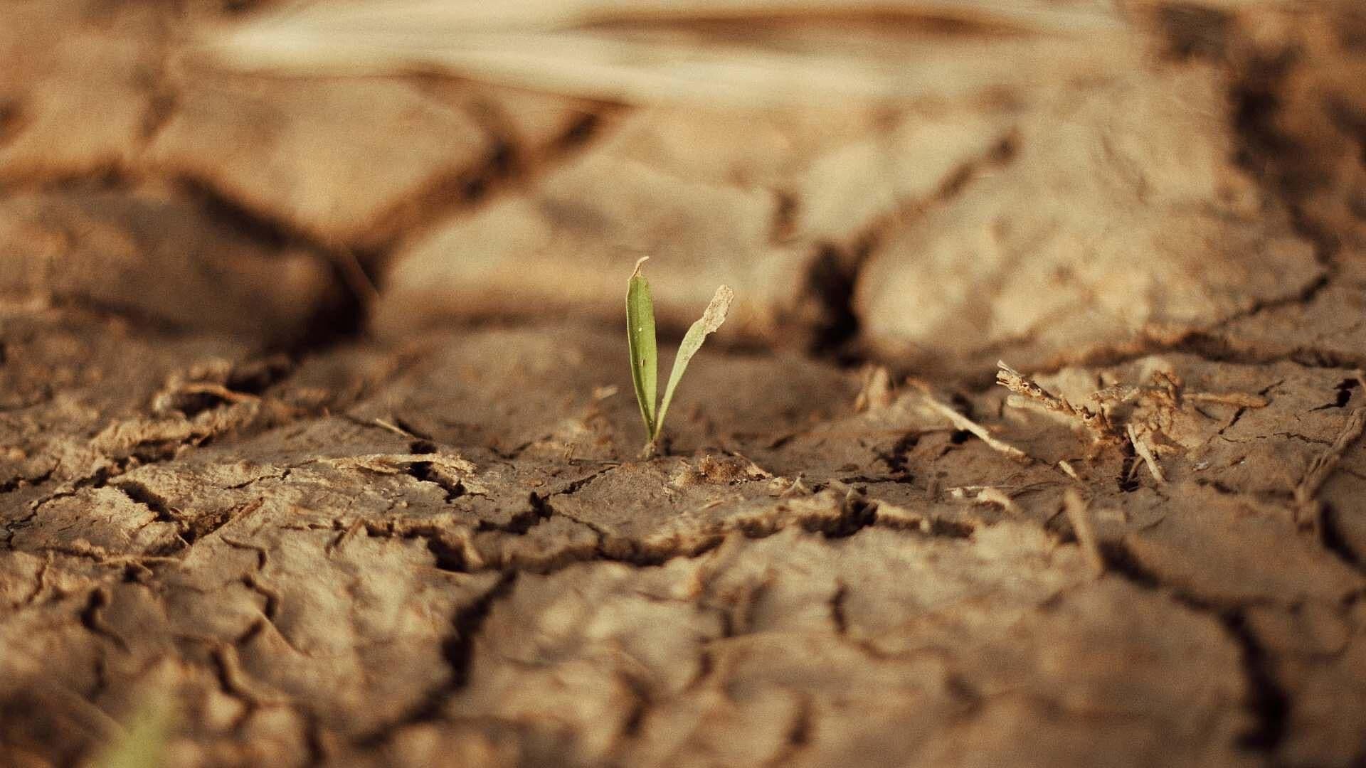 3 Comunidades de Ezequiel Montes Son las Más Afectadas por Falta de Agua
