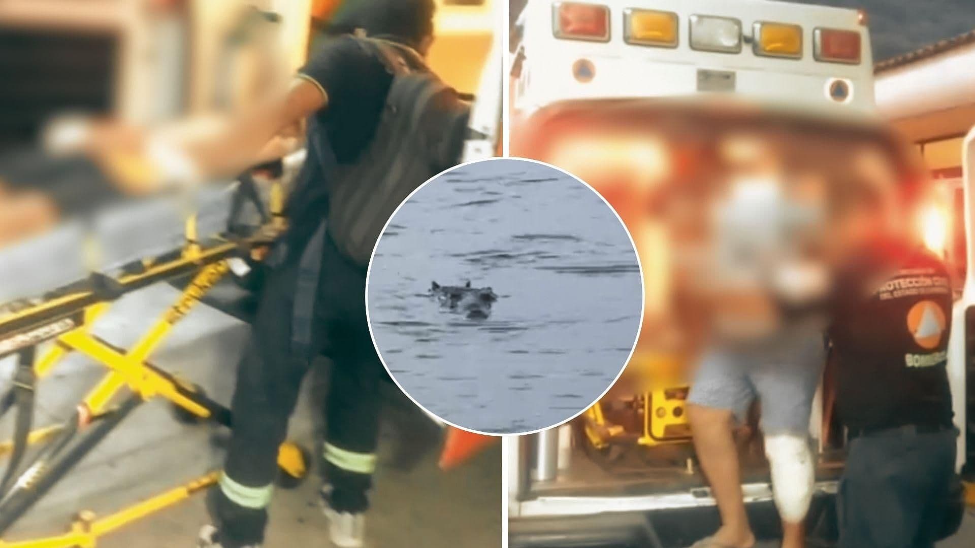 Cocodrilo Ataca a un Menor y a sus Padres en Playas de Ixtapa