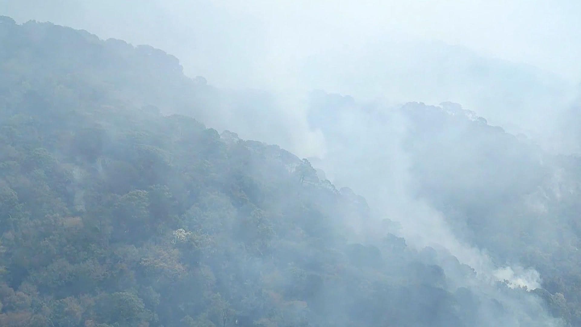 Registran Incendio Forestal en Ejido El Refugio de Tula, Tamaulipas