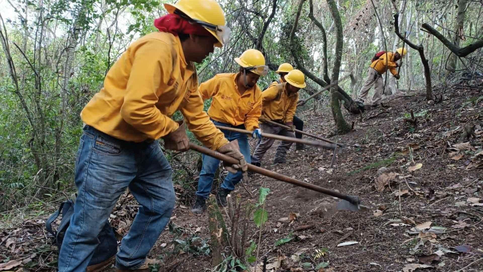 Más de 250 Brigadistas Sofocan el Incendio Forestal en Tenango