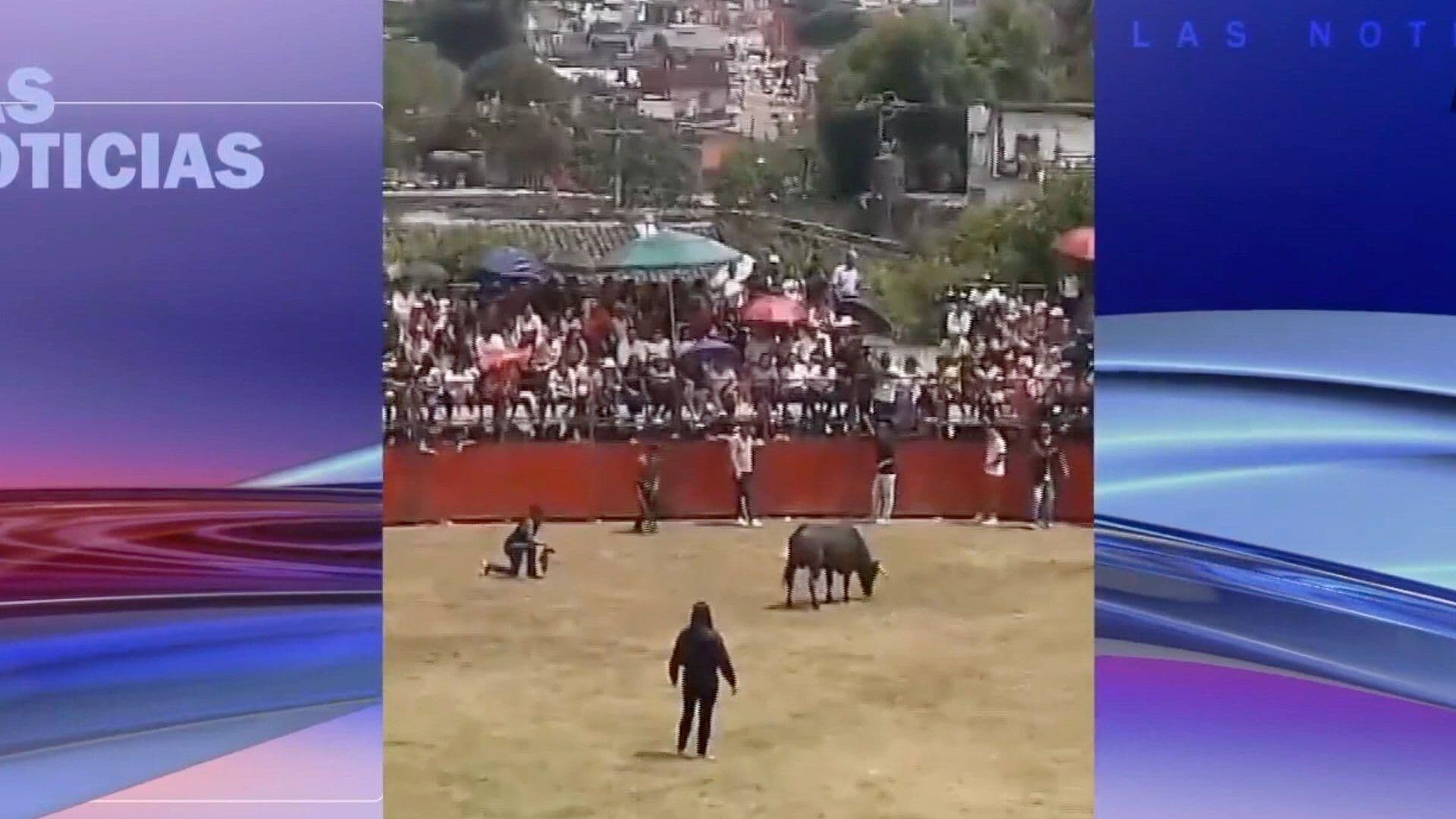 Toro Embiste a 5 Personas en Fiestas Patronales en Xico, Veracruz