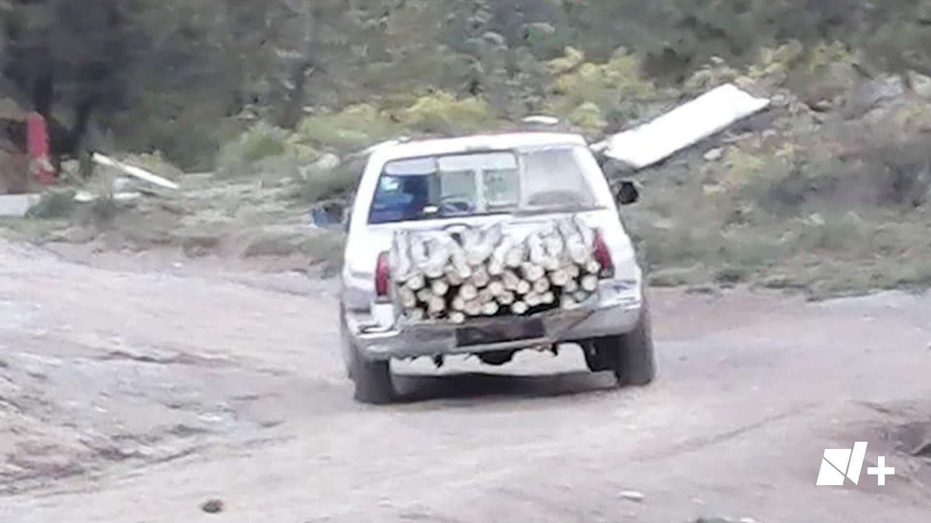 Detienen a Hombre por Tala Clandestina en la Sierra de Arteaga