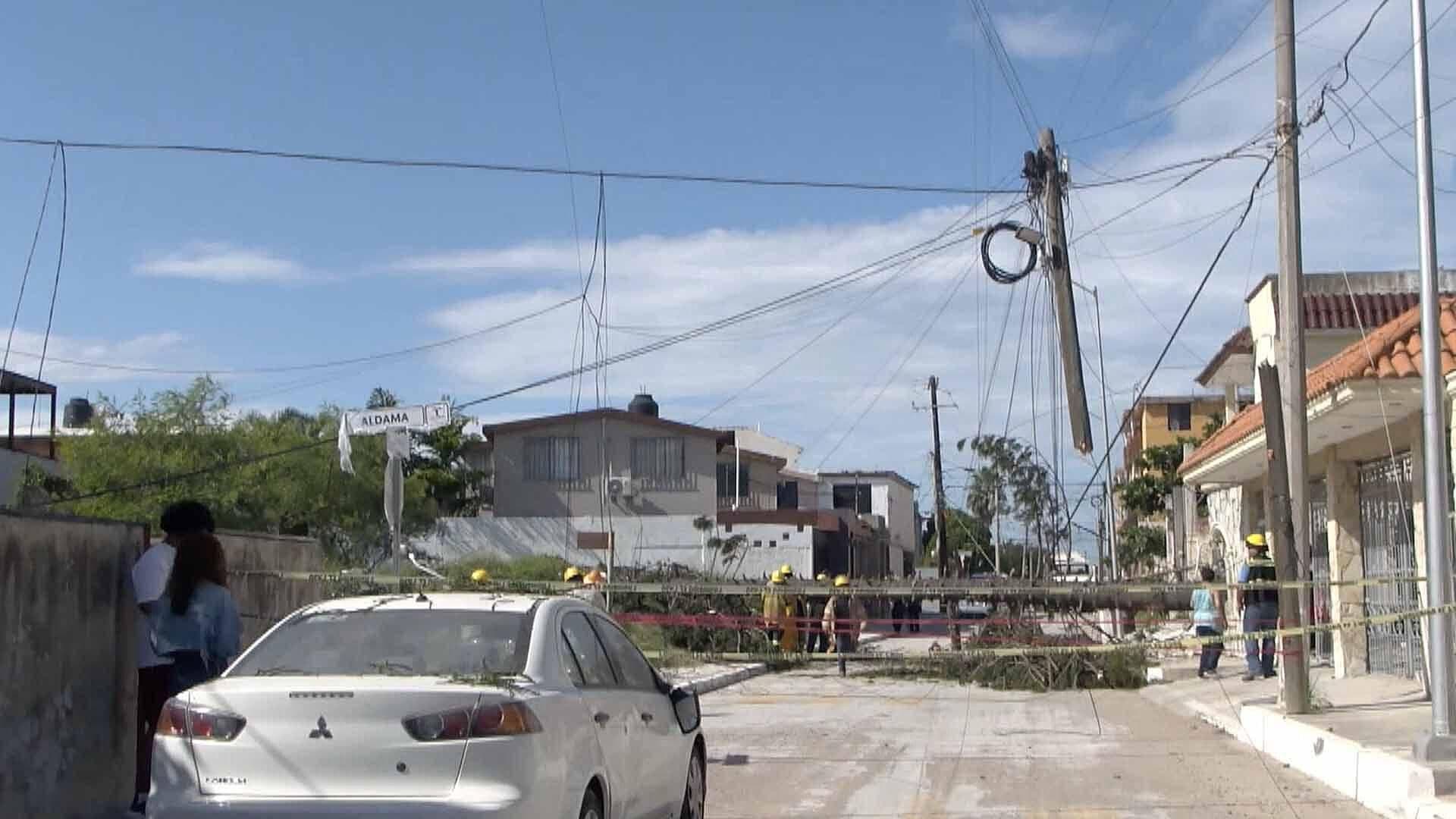 Cae Pino de 12 Metros Sobre Automóvil y Tumba Postes en Colonia de Madero
