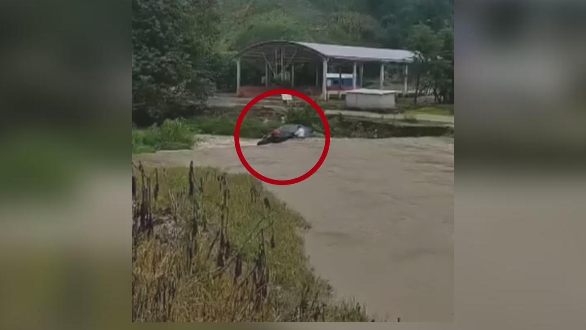 VIDEO: Este es el Momento Cuando Murió el Tercer Regidor de San Juan Chamula
