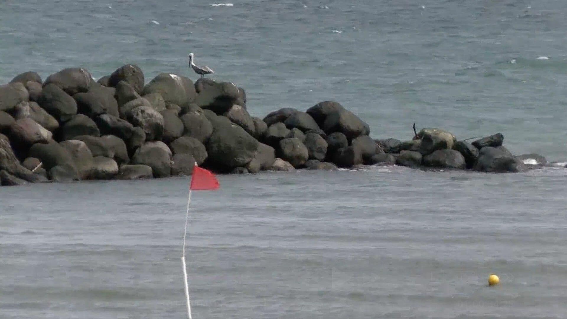 Cierran Puerto de Veracruz a la Navegación por Viento del Norte