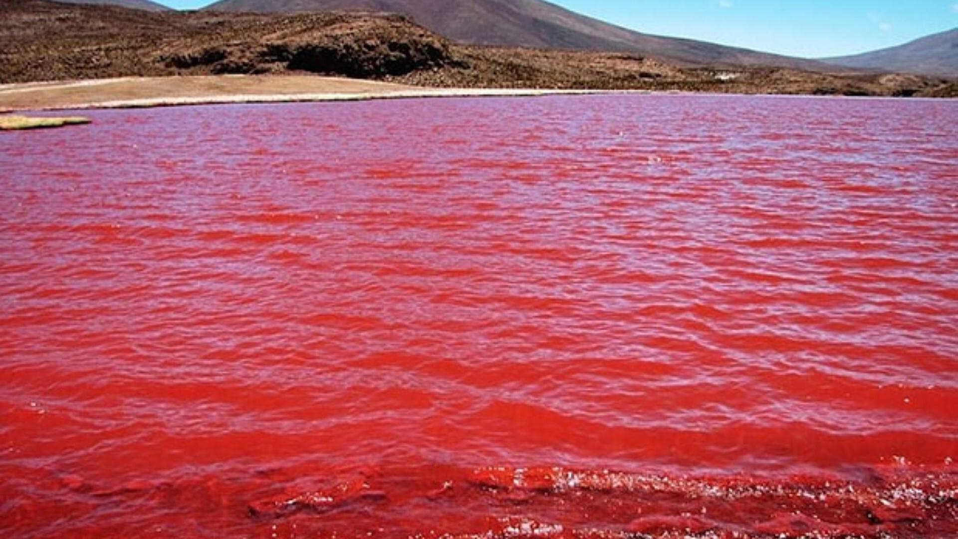 ¿Naturaleza o Apocalípsis? Se tiñe el Río Nilo de Color Rojo