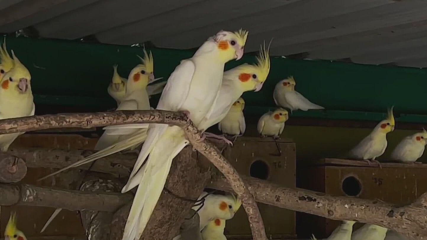 "El Palapo", Hogar de 2,500 Especies Exóticas o en Peligro de Extinción, en Colima