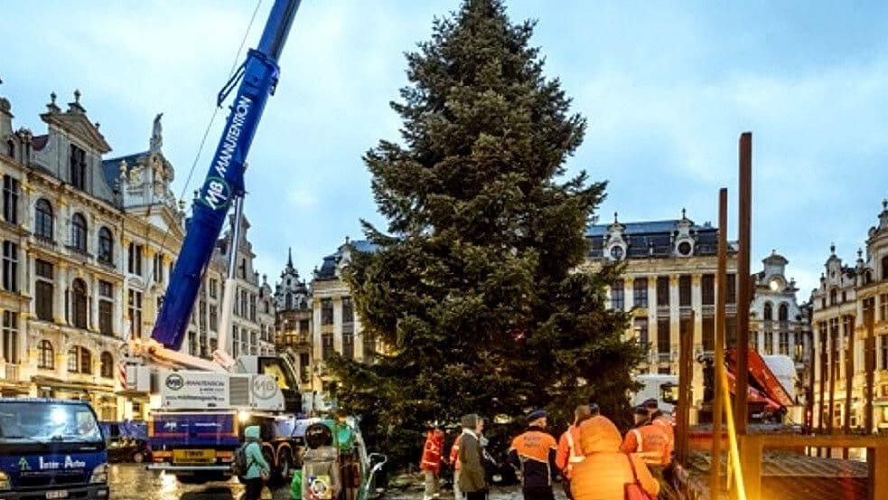 Instalan Enorme Árbol de Navidad en Plaza Central de Bruselas, Bélgica