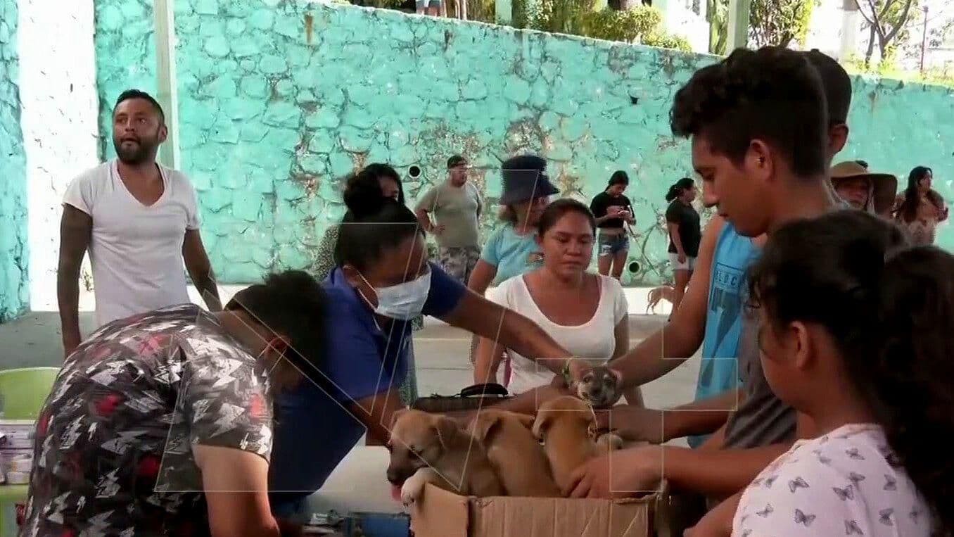 Video