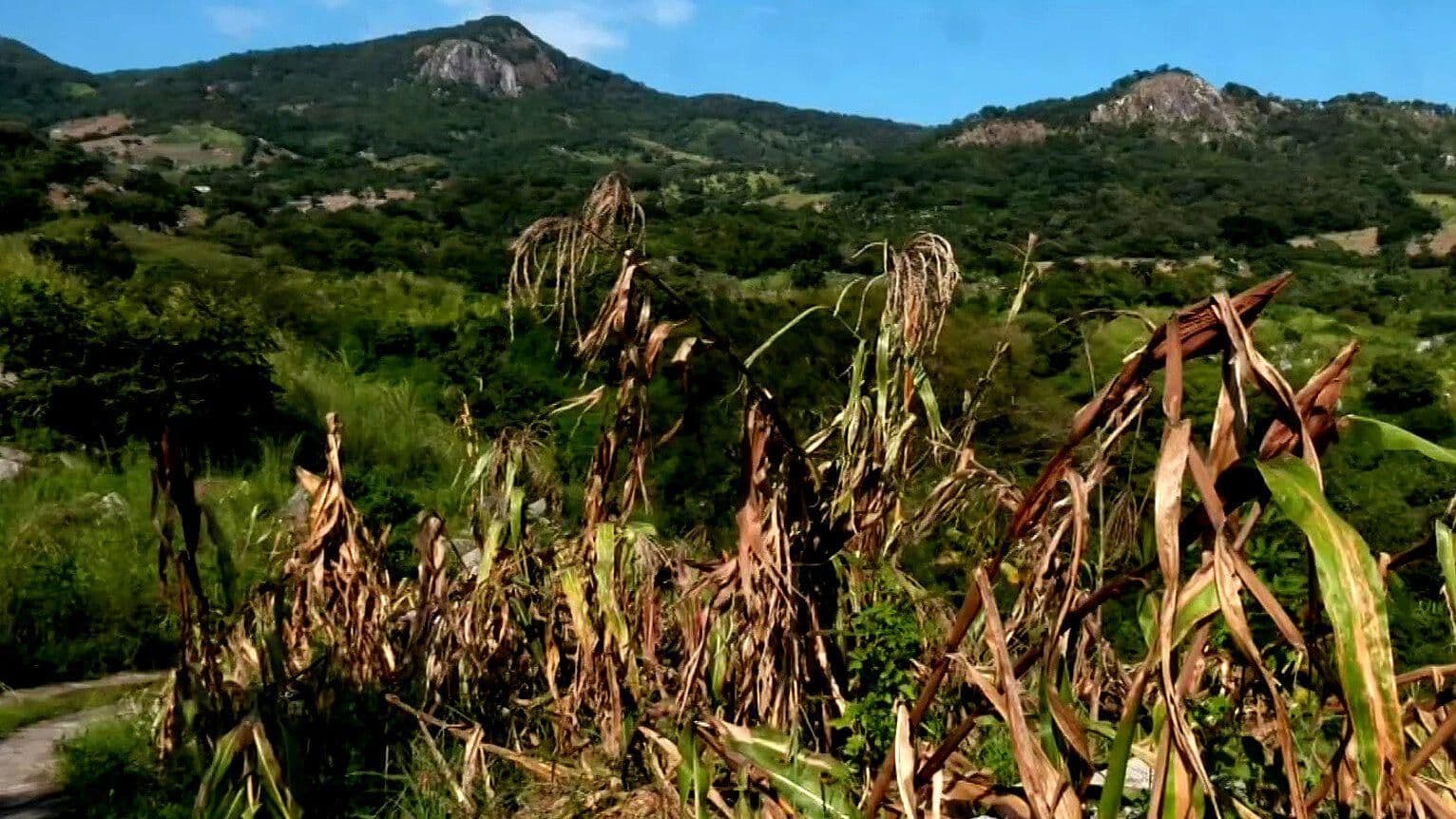 Comunidades de la Sierra de Guerrero, Devastadas por el Paso de Otis