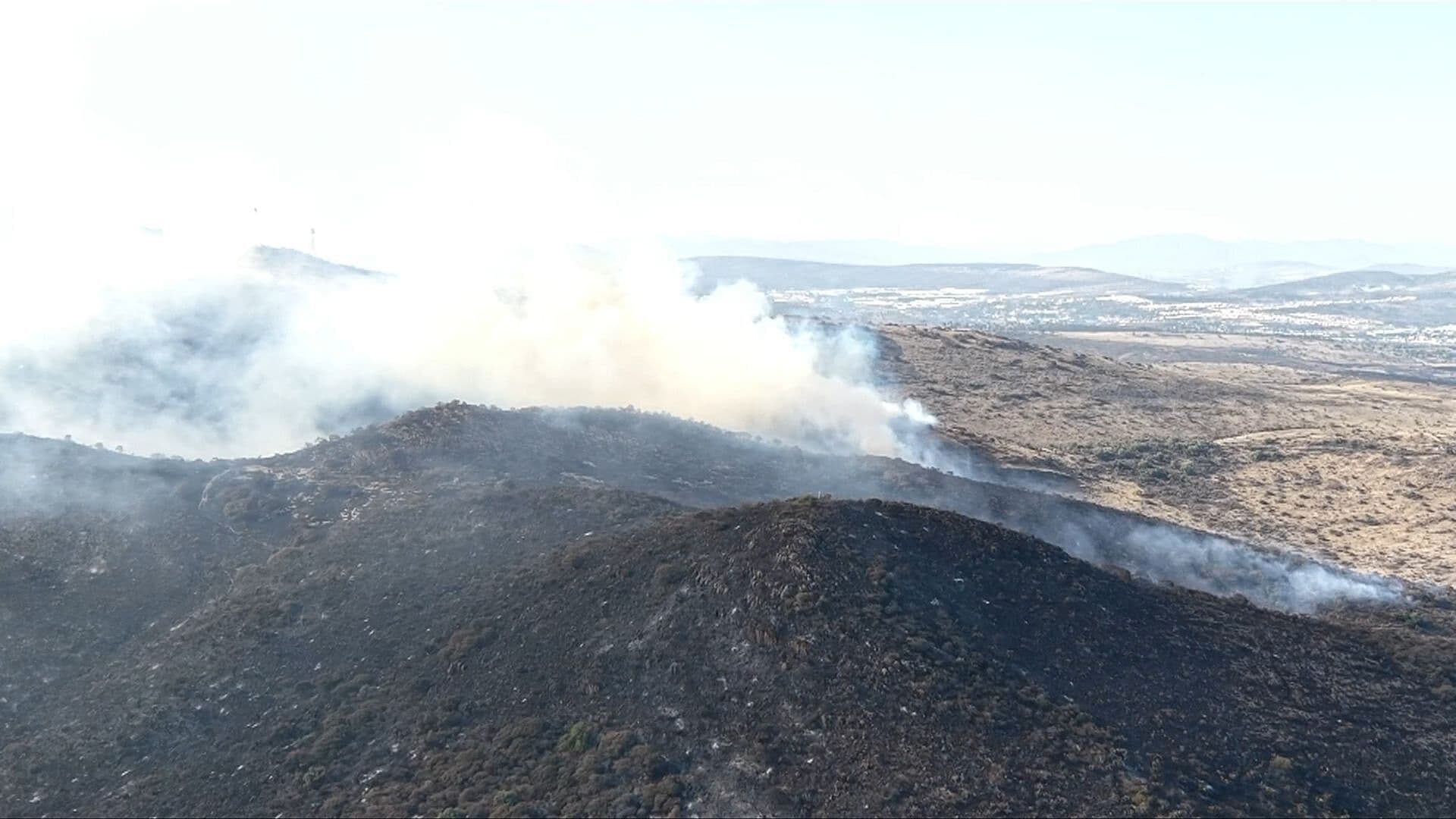¿Qué Pasa en Tepotzotlán? Incendio en Cerro de Los Potreros en Edomex