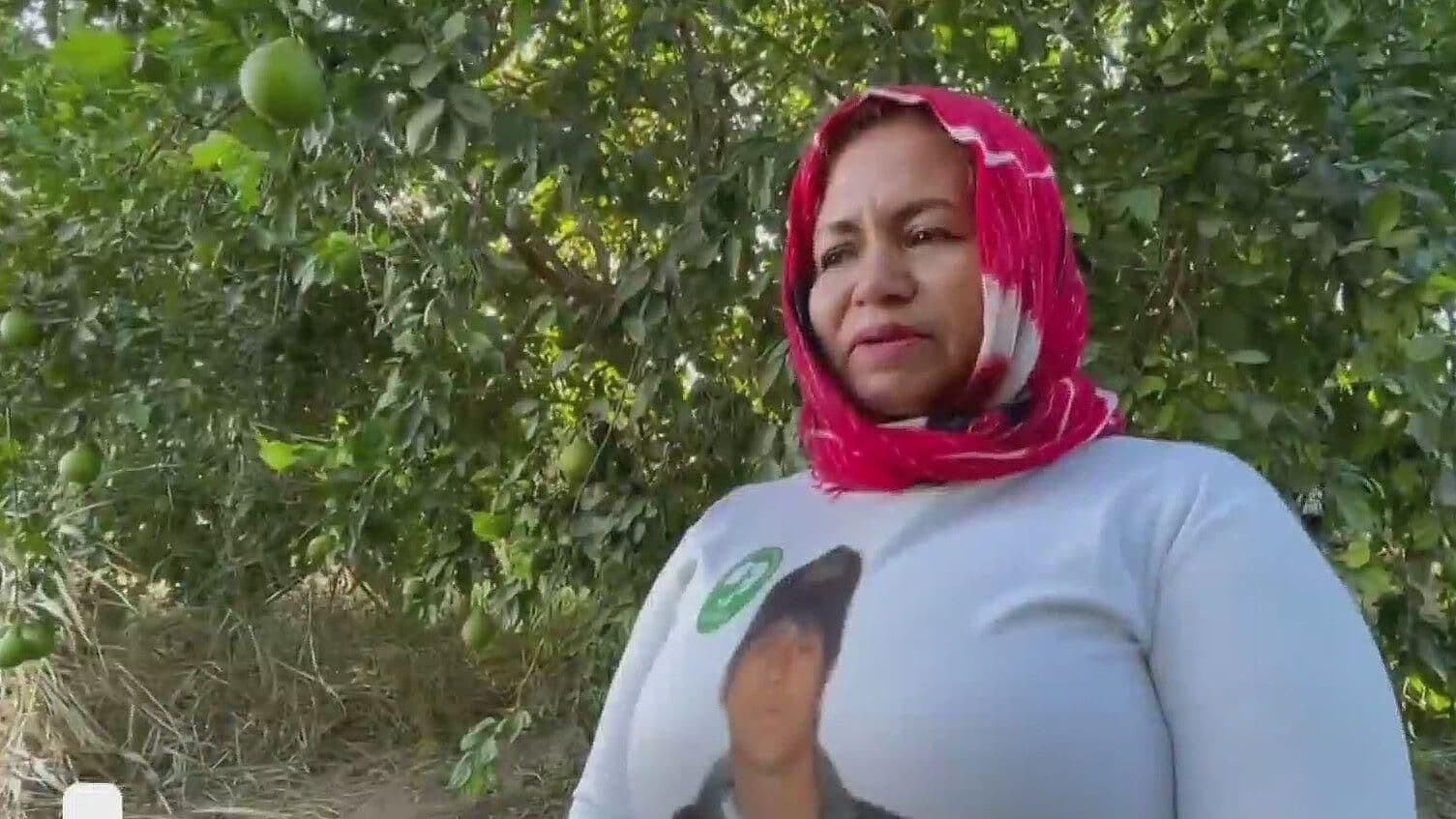 Ella es Cecilia Flores, Madre Buscadora de Sonora, que Ha Encontrado Más de 2 Mil Cadáveres