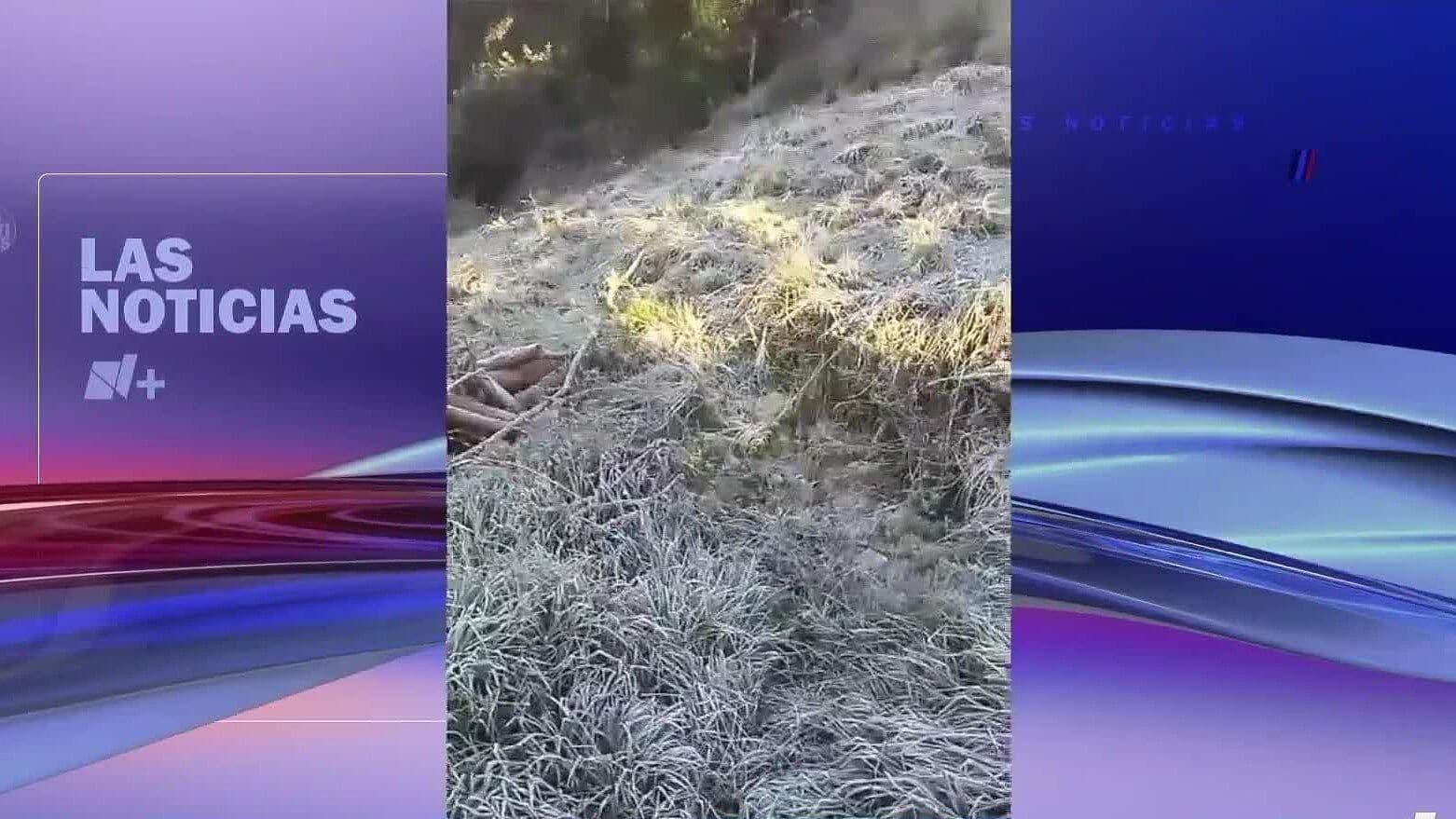 Campesinos Pierden su Cosecha Tras Helada en la Sierra de Zongolica
