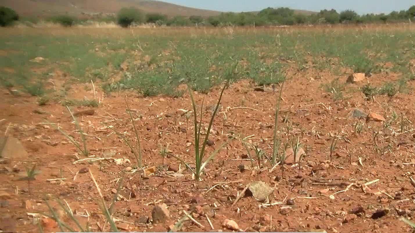 Evaluarán la Extracción de Agua en Presa Vicente Guerrero