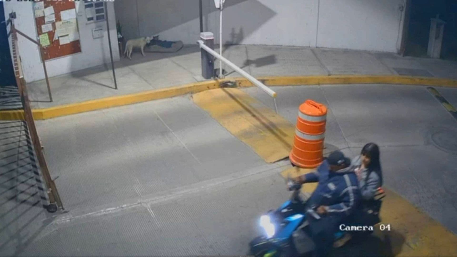 VIDEO: Así Captaron a Ana Karen Nute Téllez antes de Desaparecer en Edomex