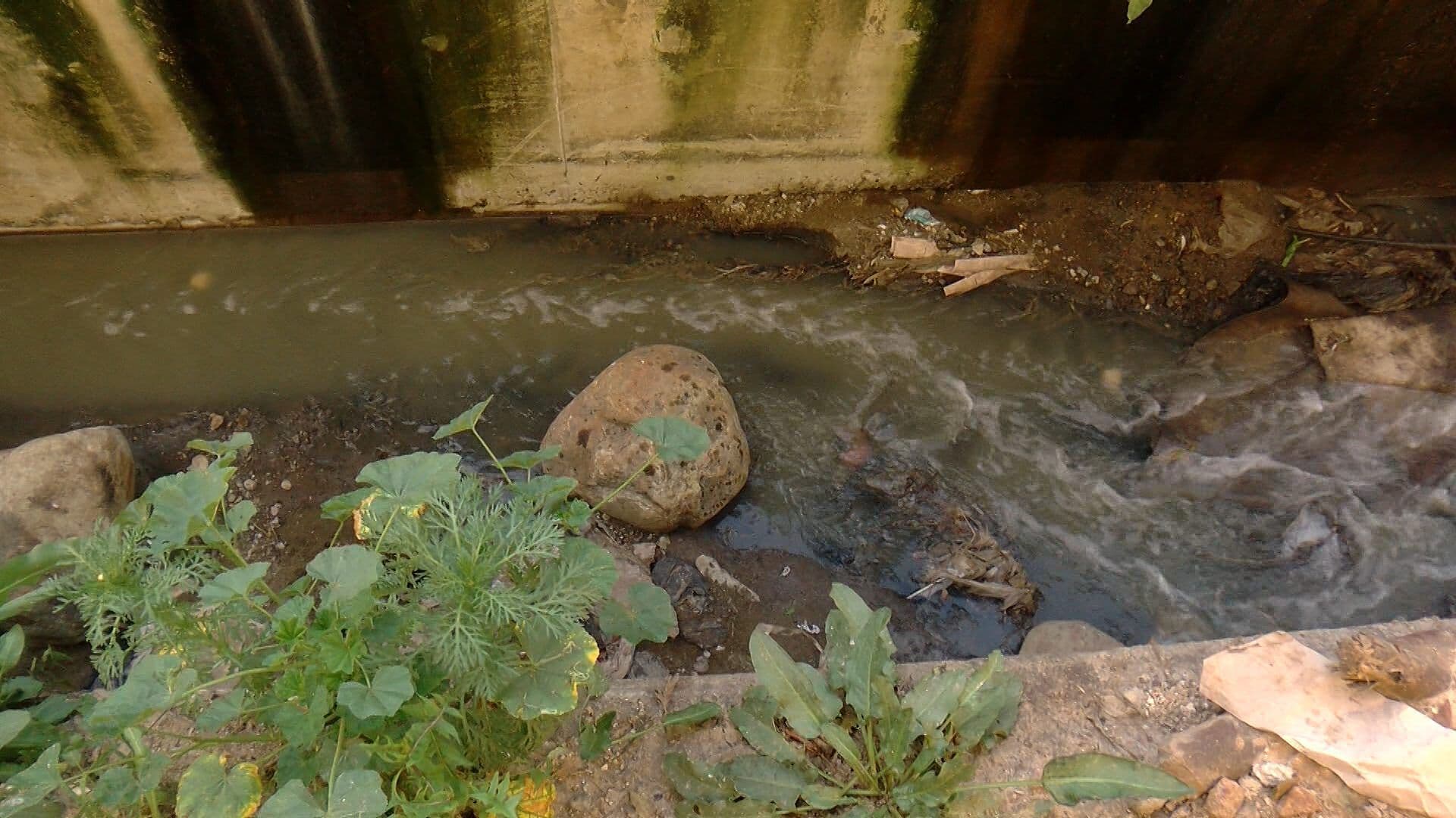 Arroyo de Aguas Negras Afecta a Vecinos de Colonia Las Torres en Tijuana