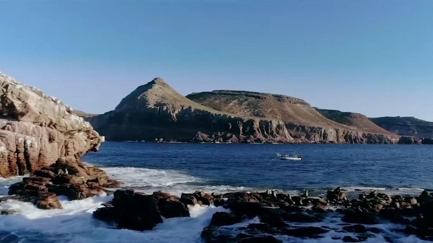Mar de Cortés se Deteriora por Sobreexplotación Pesquera