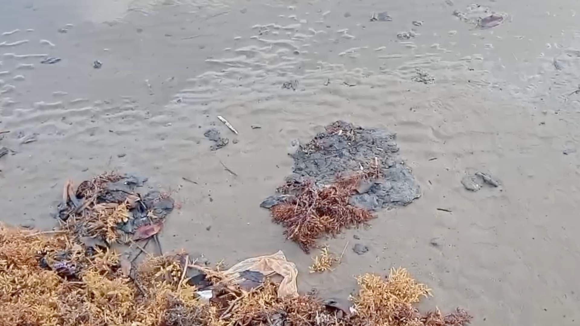 Inicia Limpieza de Hidrocarburo en Barrillas en Coatzacoalcos | N+ Veracruz