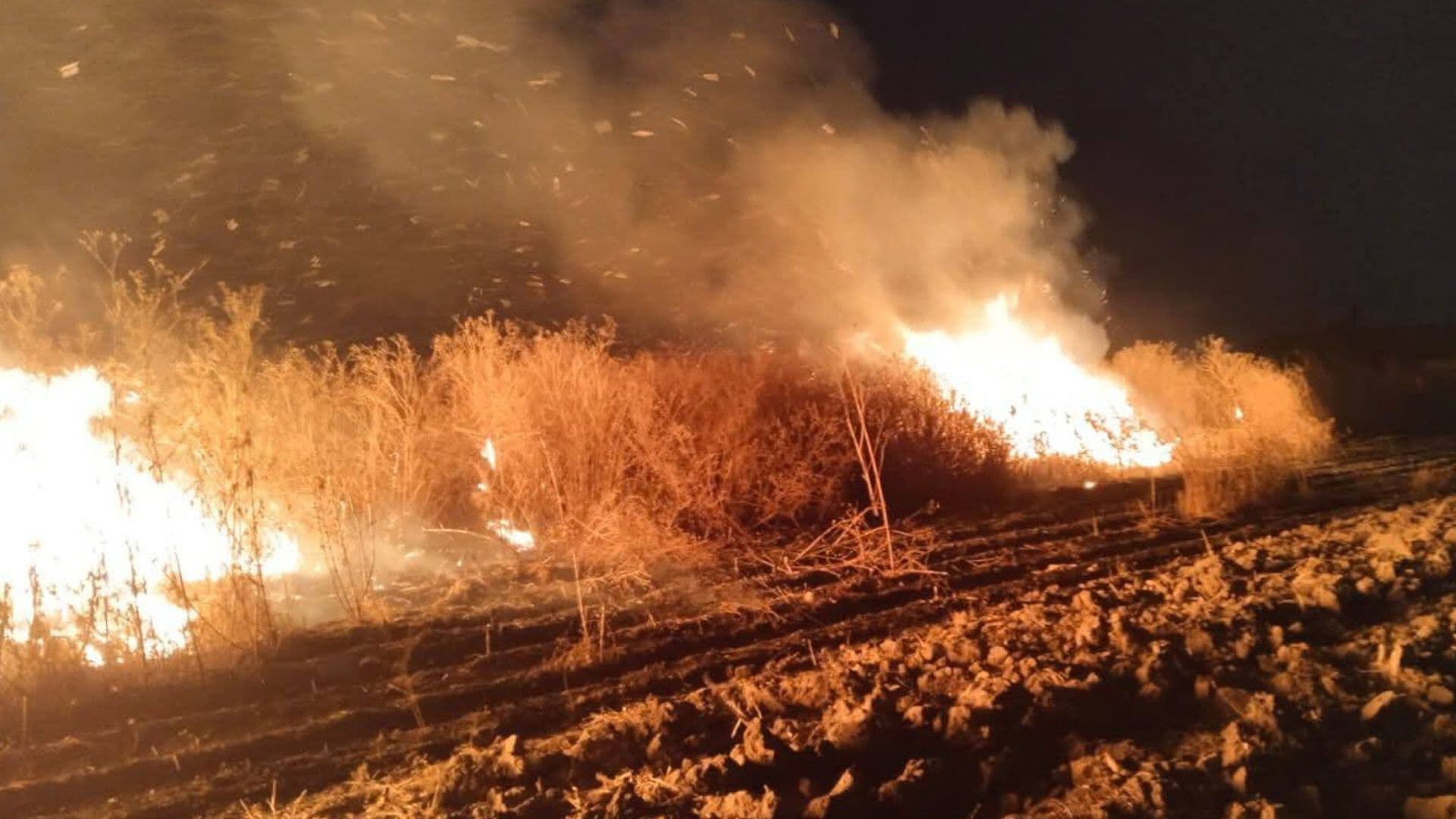 Se Registraron en las Últimas Horas Tres Incendios en San Martín Texmelucan, Puebla